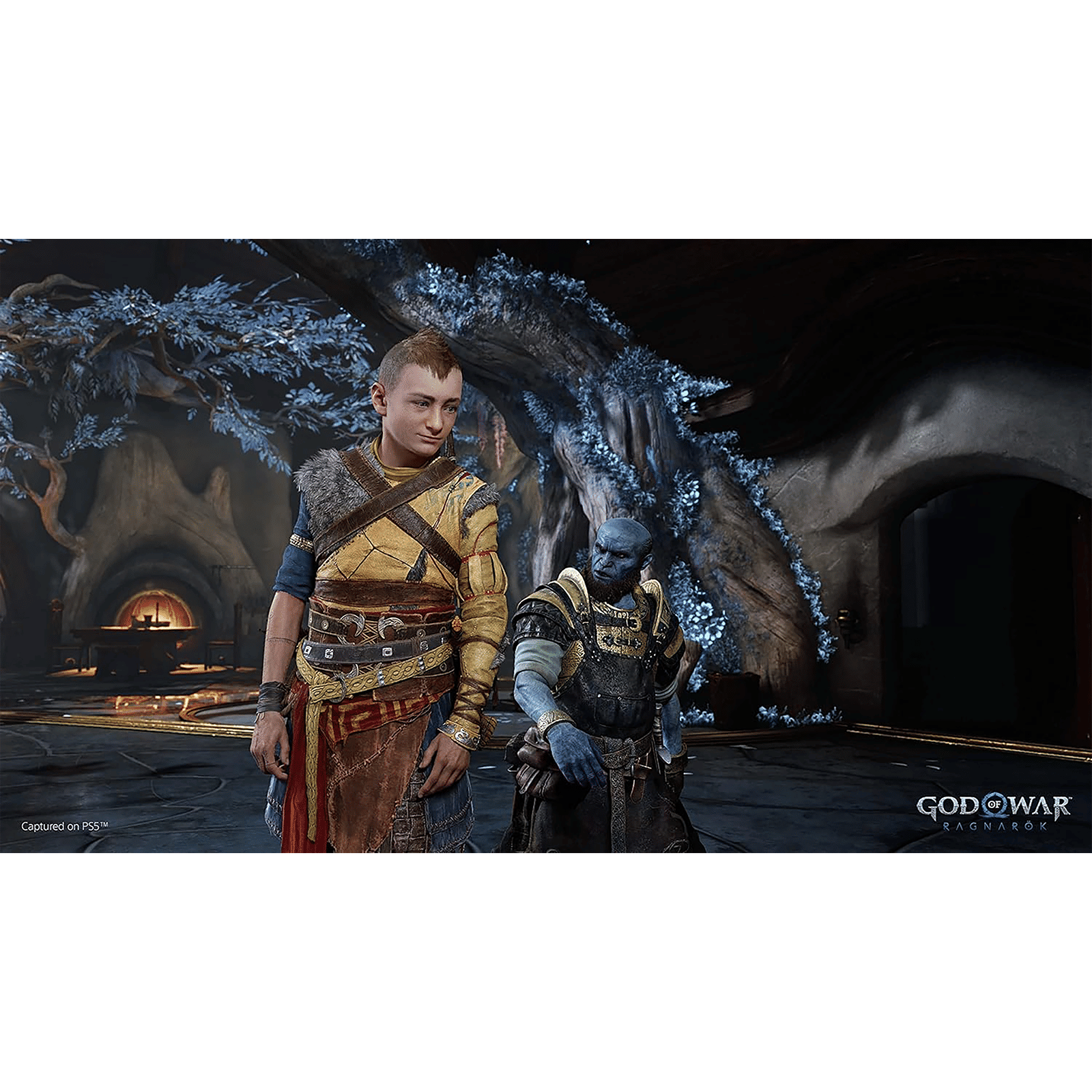 SONY God Of War Ragnarok for PS5 (Action, Adventure, Launch Edition, 50668582) SONY God Of War Ragnarok for PS5 (Action, Adventure, Launch Edition, 50668582)_3