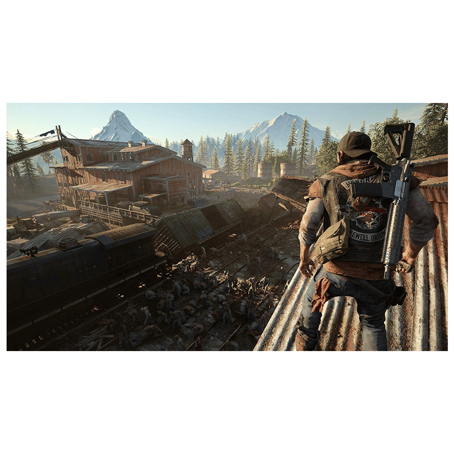 PS4 Game (Days Gone) PS4 Game (Days Gone)_3