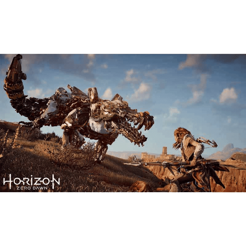 PS4 Game (Horizon Zero Down)_3