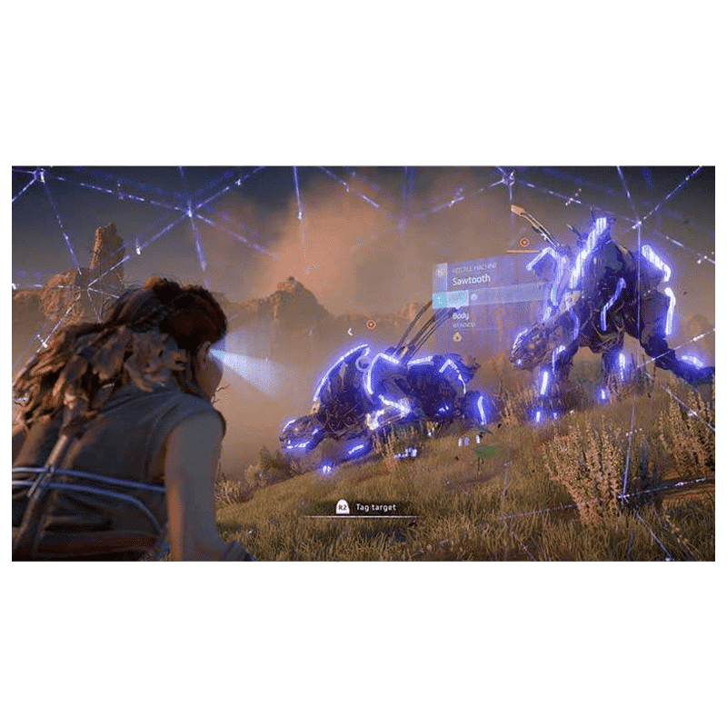 PS4 Game (Horizon Zero Down)_4