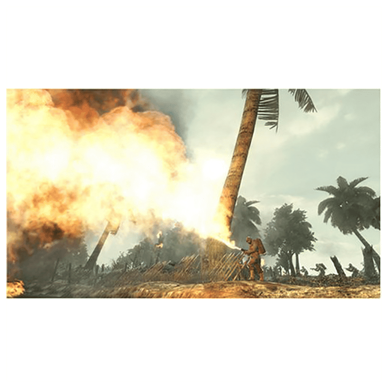 ACTIVISION PC Game (Call of Duty: World At War)_10