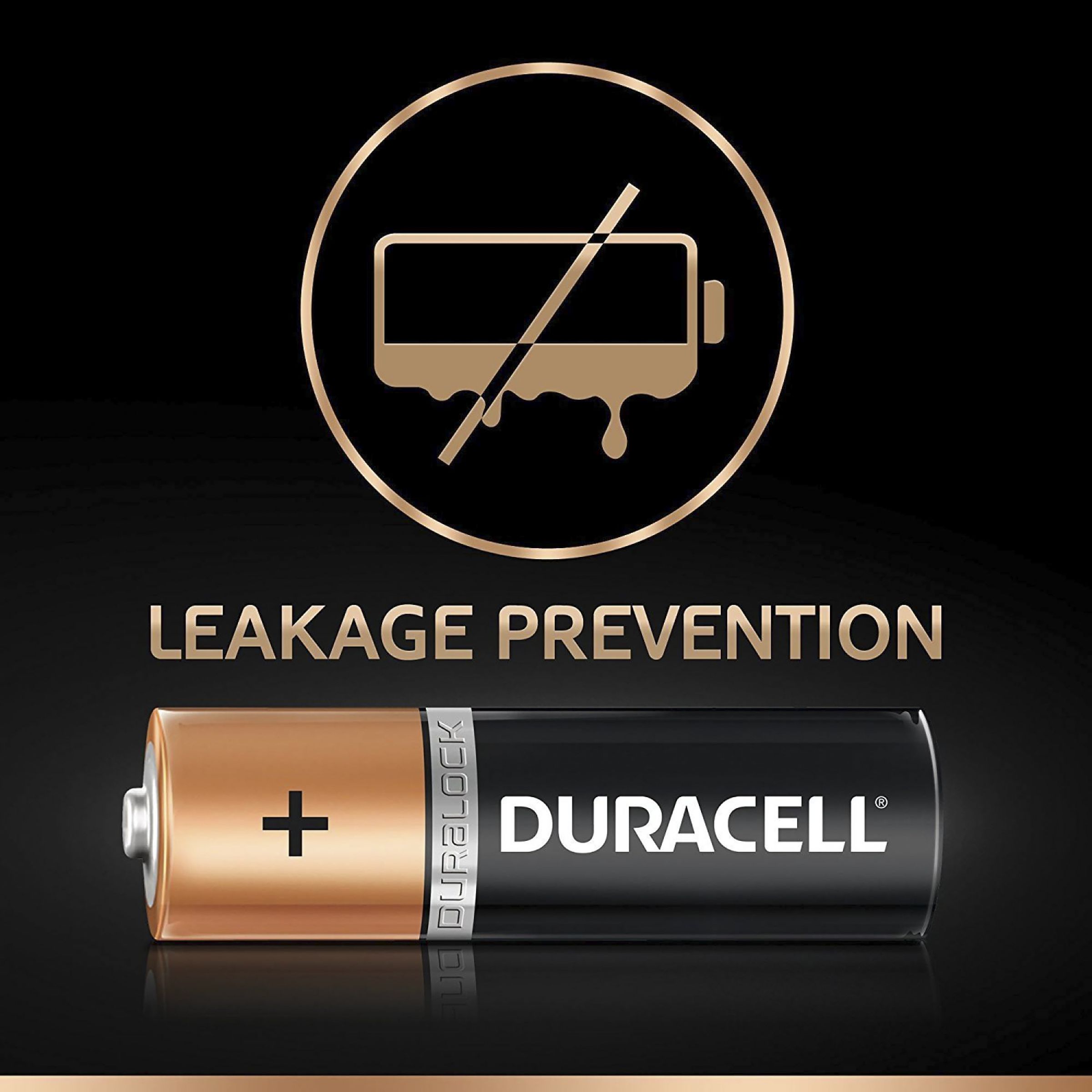 DURACELL C 2 1400 mAh Alkaline Battery (Pack of 2) DURACELL C 2 1400 mAh Alkaline Battery (Pack of 2)_5