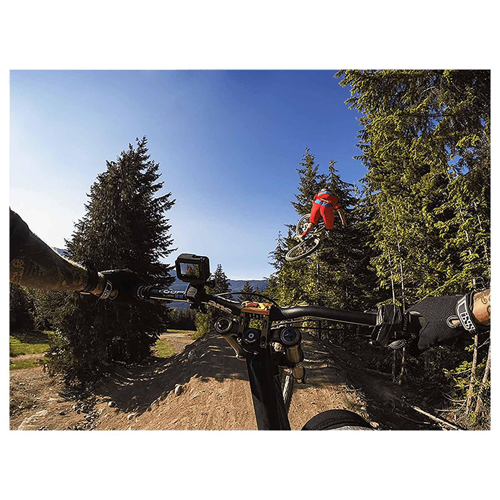GoPro Pole Mount for Camera (360 Degree Rotation, Black)_6