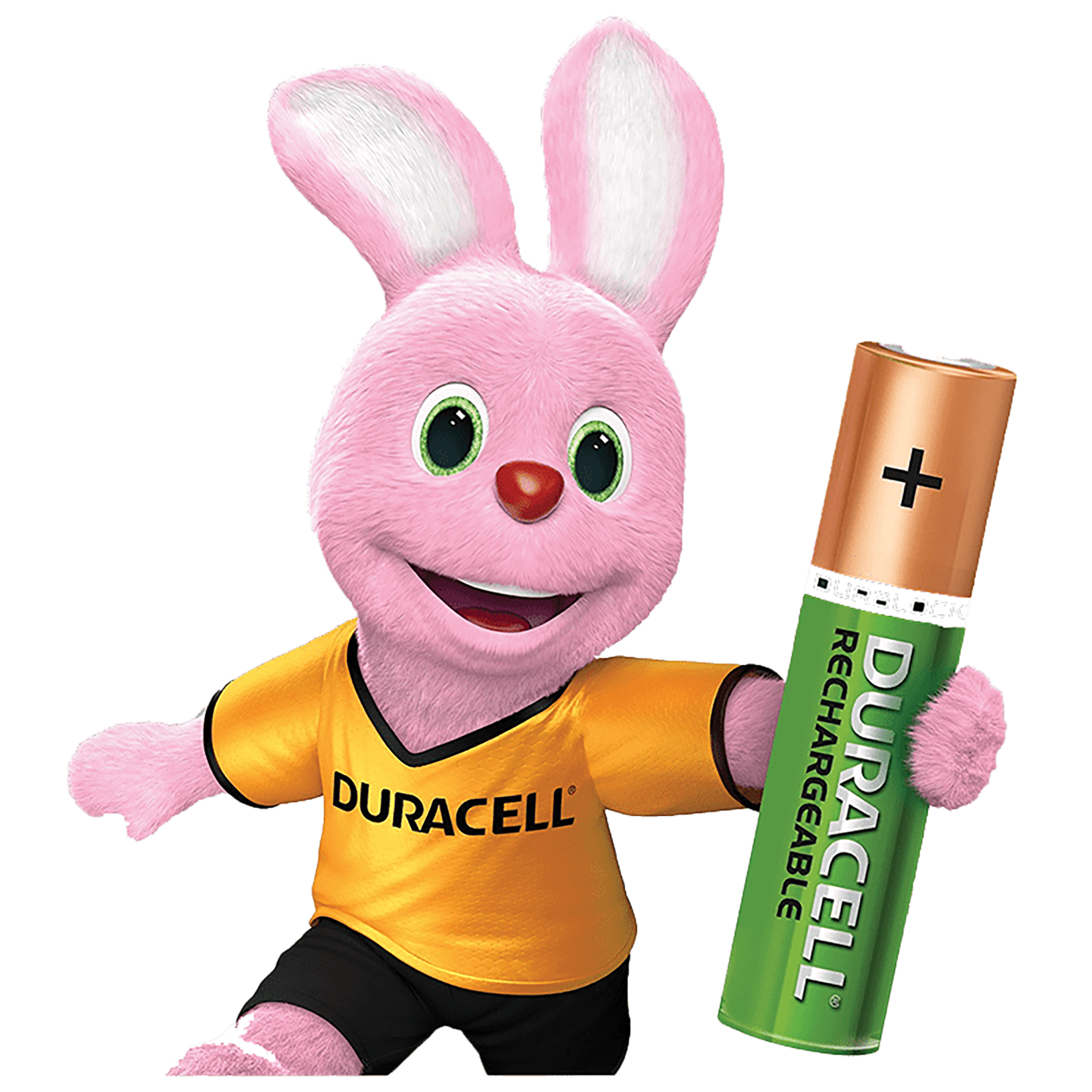 DURACELL Recharge Plus 750 mAh Alkaline AAA Rechargeable Battery (Pack of 4)_6