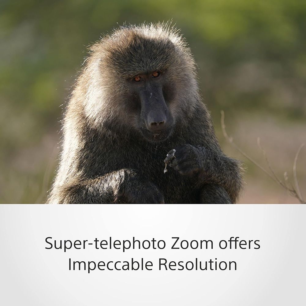 SONY 200-600mm f/5.6 - f/6.3 Telephoto Zoom Lens for SONY E Mount (Dust & Moisture Resistant) SONY 200-600mm f/5.6 - f/6.3 Telephoto Zoom Lens for SONY E Mount (Dust & Moisture Resistant)_6