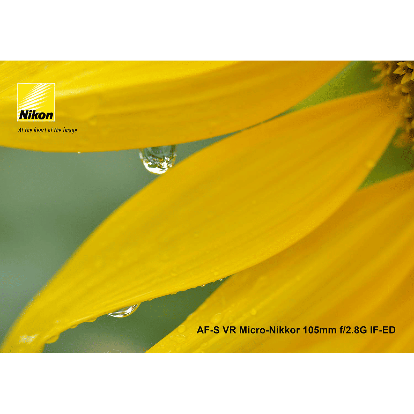 Nikon AF-S VR NIKKOR 105mm f/2.8 - f/32 Micro Prime Lens for Nikon F Mount (Silent Wave Motor) Nikon AF-S VR NIKKOR 105mm f/2.8 - f/32 Micro Prime Lens for Nikon F Mount (Silent Wave Motor)_4