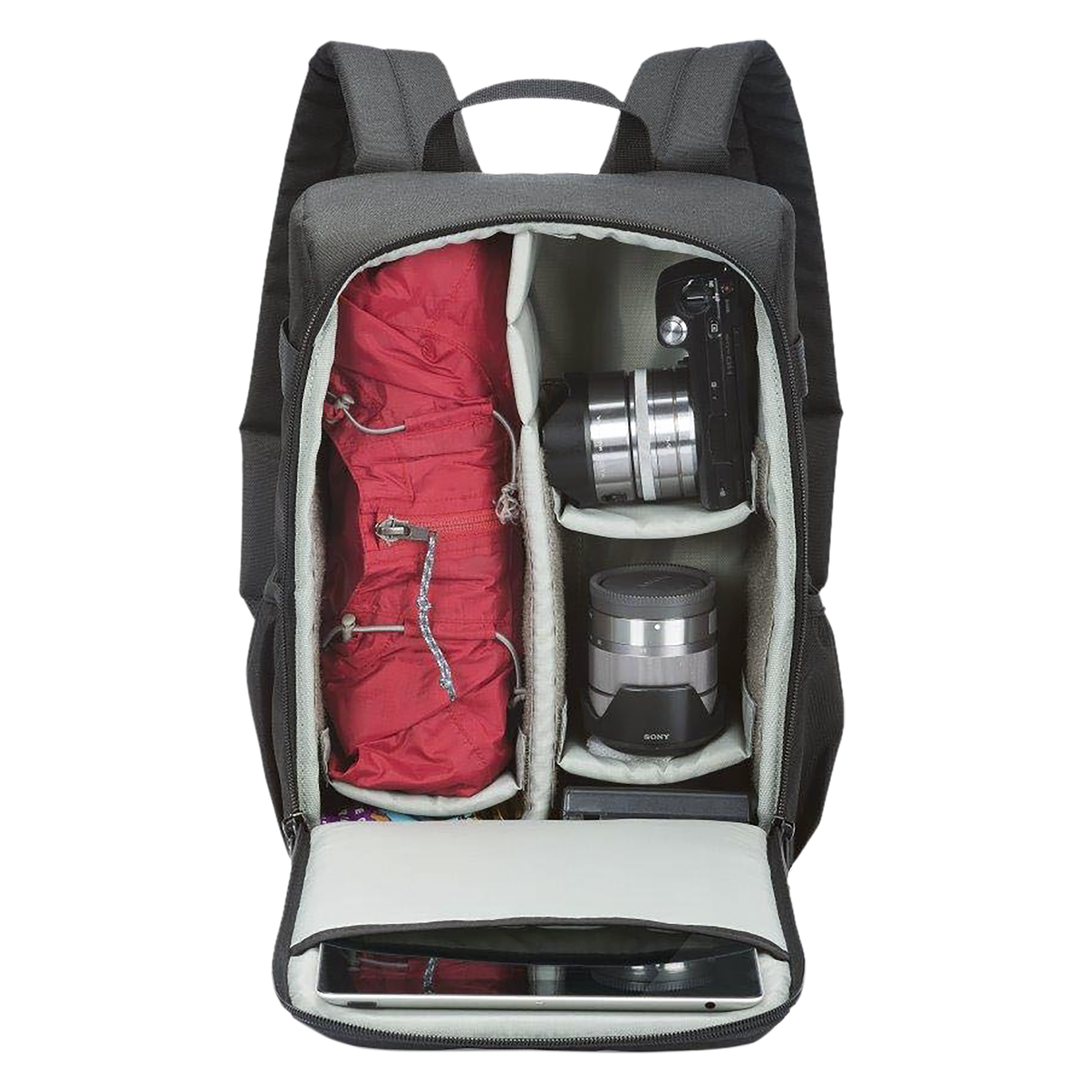 Lowepro Format 150 Polyester Camera Backpack For DSLR (LP36625-PWW , Black ) Lowepro Format 150 Polyester Camera Backpack For DSLR (LP36625-PWW , Black )_6