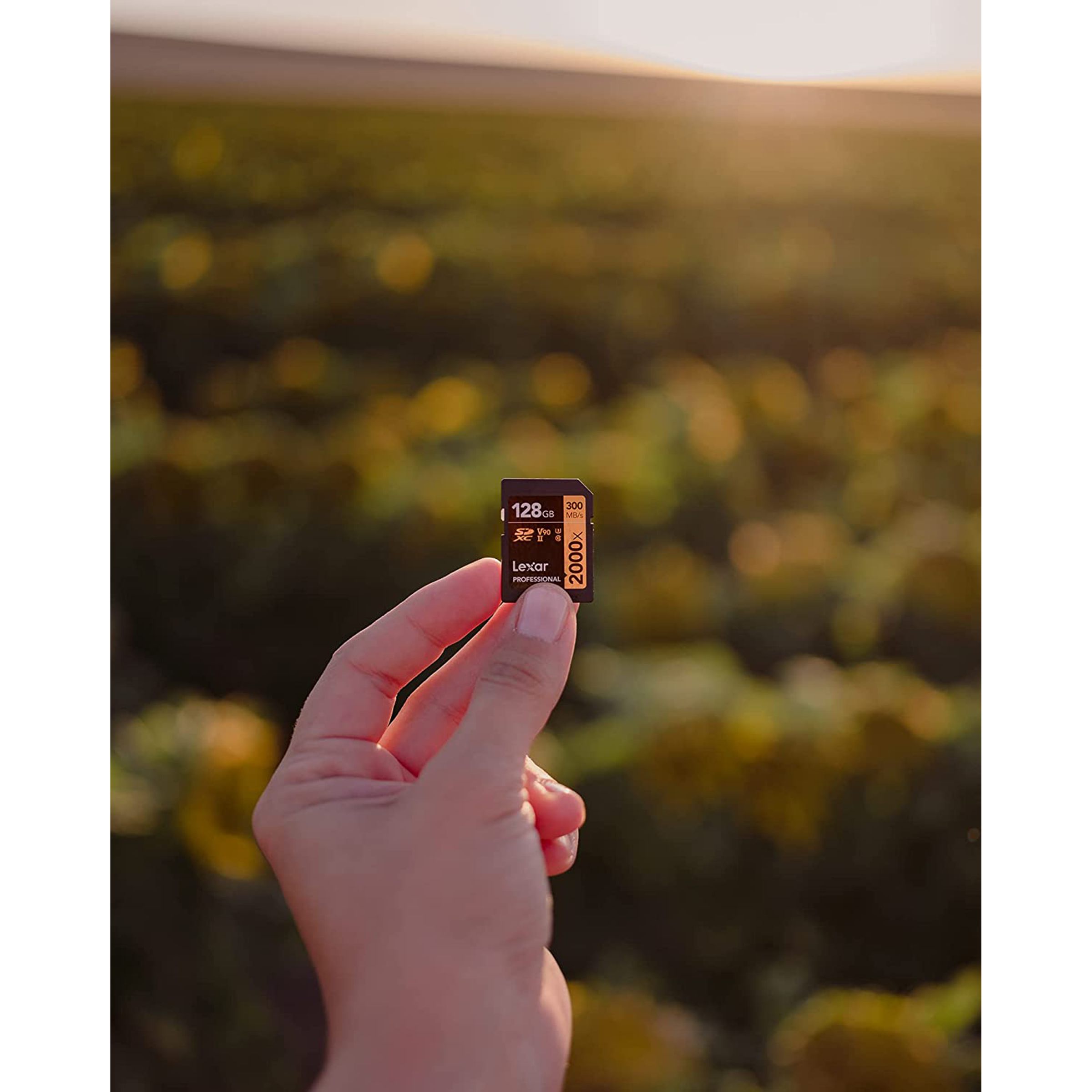 Lexar Professional 1800x GOLD Series SDXC 64GB Class 90, Class 3 300MB/s Memory Card_5