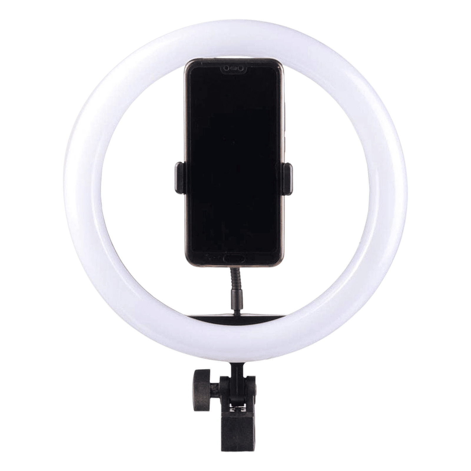 Digitek Ring LED 12 Inches PEX Digitek Ring LED 12 Inches PEX_3