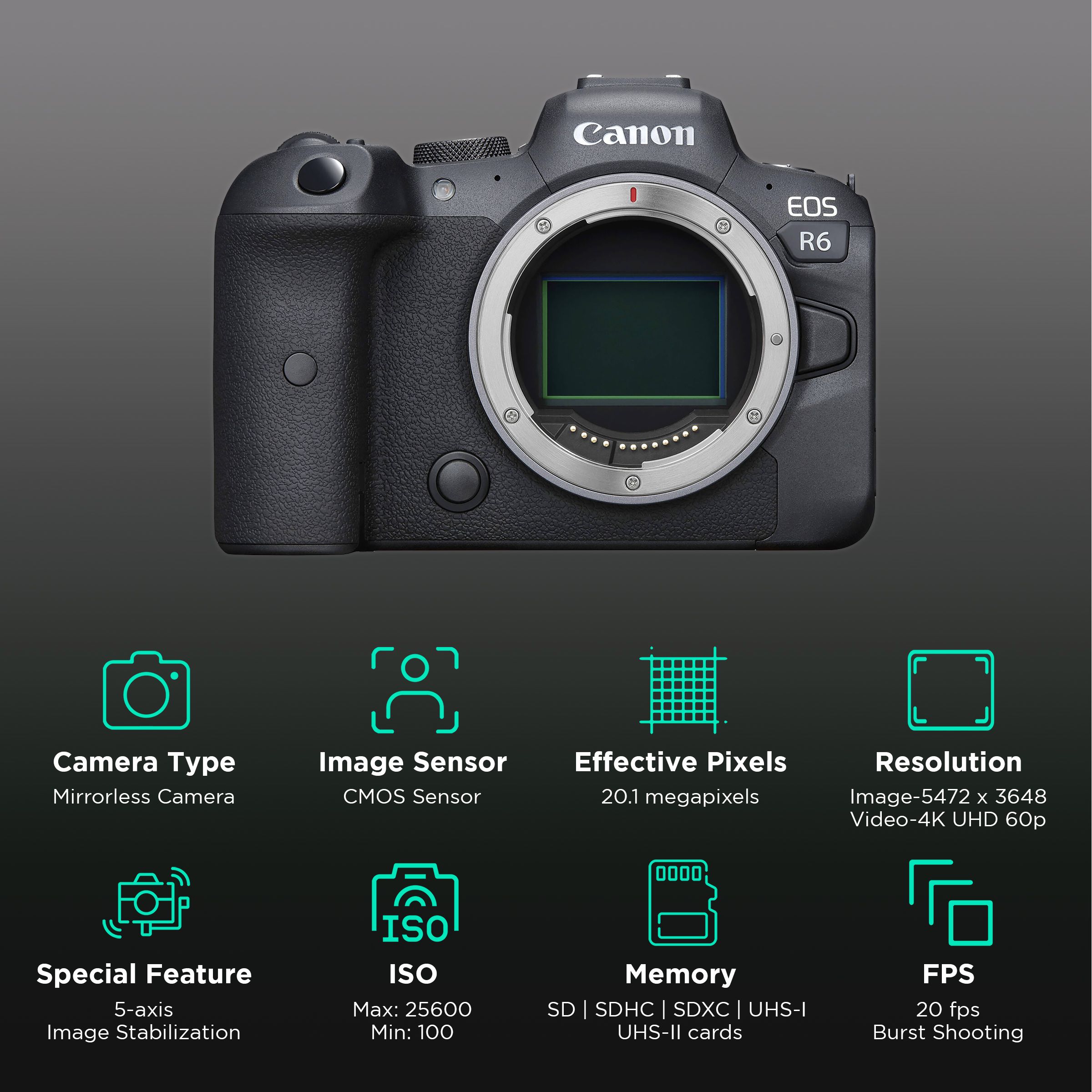 Canon EOS R6 20.1MP Mirrorless Camera (Body Only, 36 x 24 mm Sensor, Vari-Angle Touch Screen LCD) Canon EOS R6 20.1MP Mirrorless Camera (Body Only, 36 x 24 mm Sensor, Vari-Angle Touch Screen LCD)_2