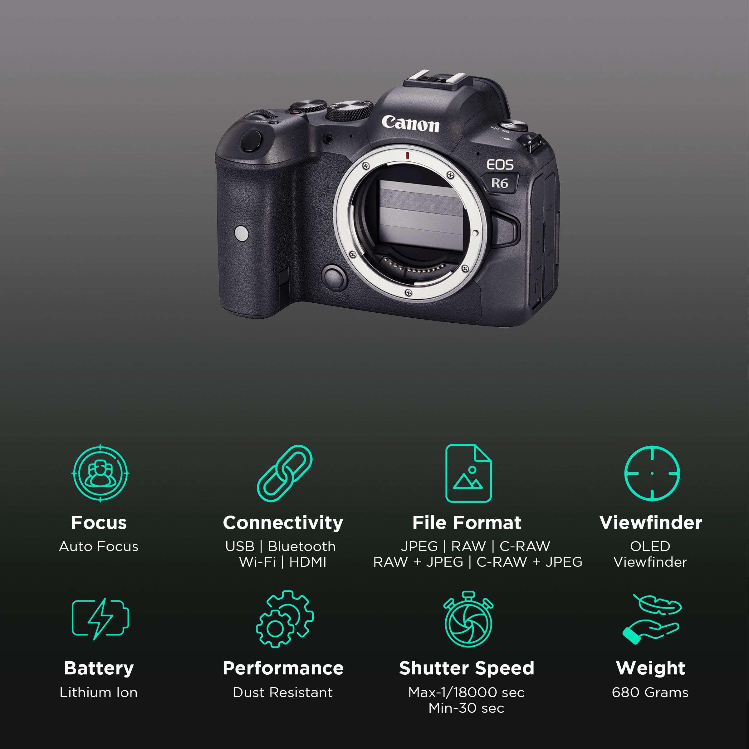 Canon EOS R6 20.1MP Mirrorless Camera (Body Only, 36 x 24 mm Sensor, Vari-Angle Touch Screen LCD) Canon EOS R6 20.1MP Mirrorless Camera (Body Only, 36 x 24 mm Sensor, Vari-Angle Touch Screen LCD)_3