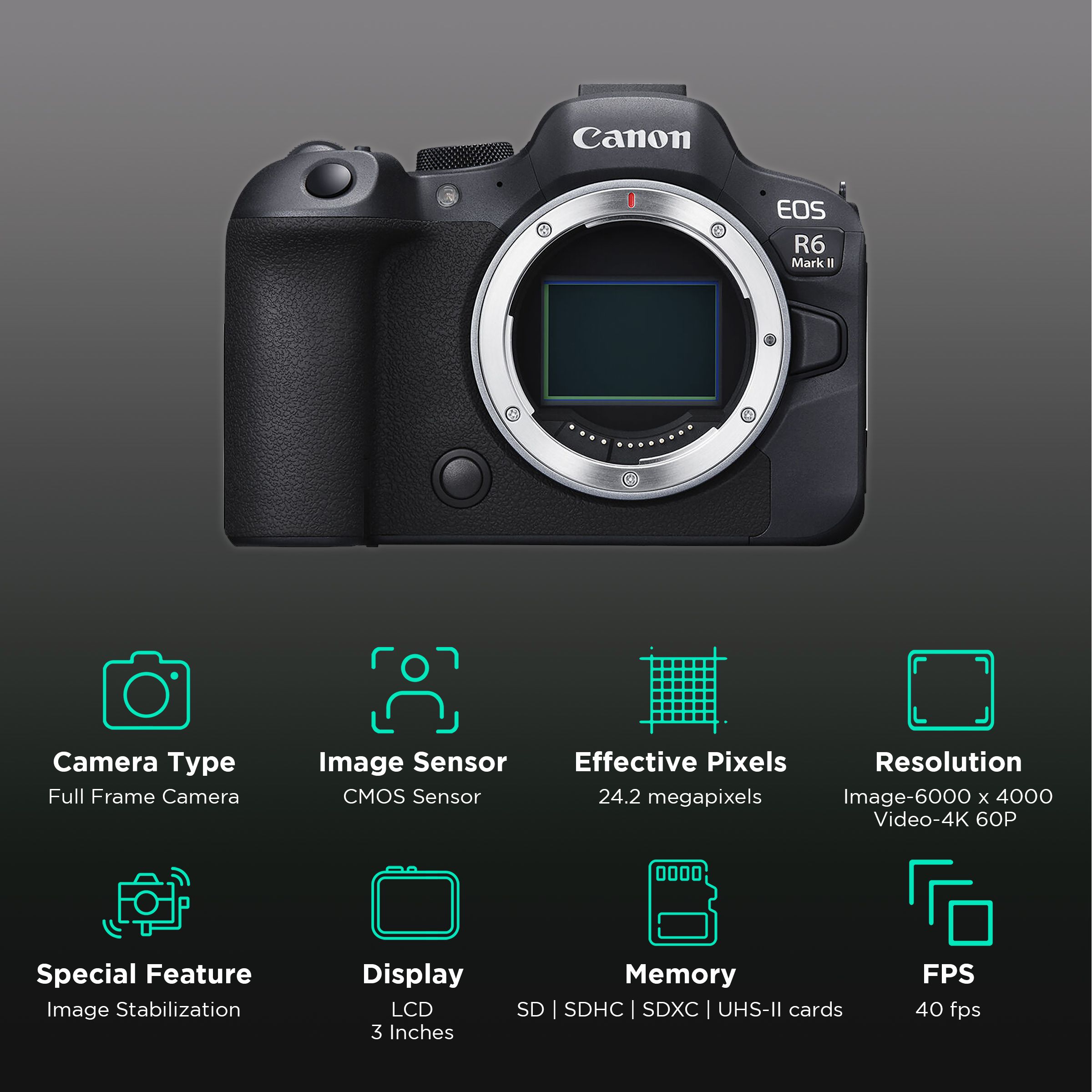 Canon EOS R6 Mark II 24.2MP Full-Frame Camera Body (CMOS Sensor, Auto Subject Detection) Canon EOS R6 Mark II 24.2MP Full-Frame Camera Body (CMOS Sensor, Auto Subject Detection)_2