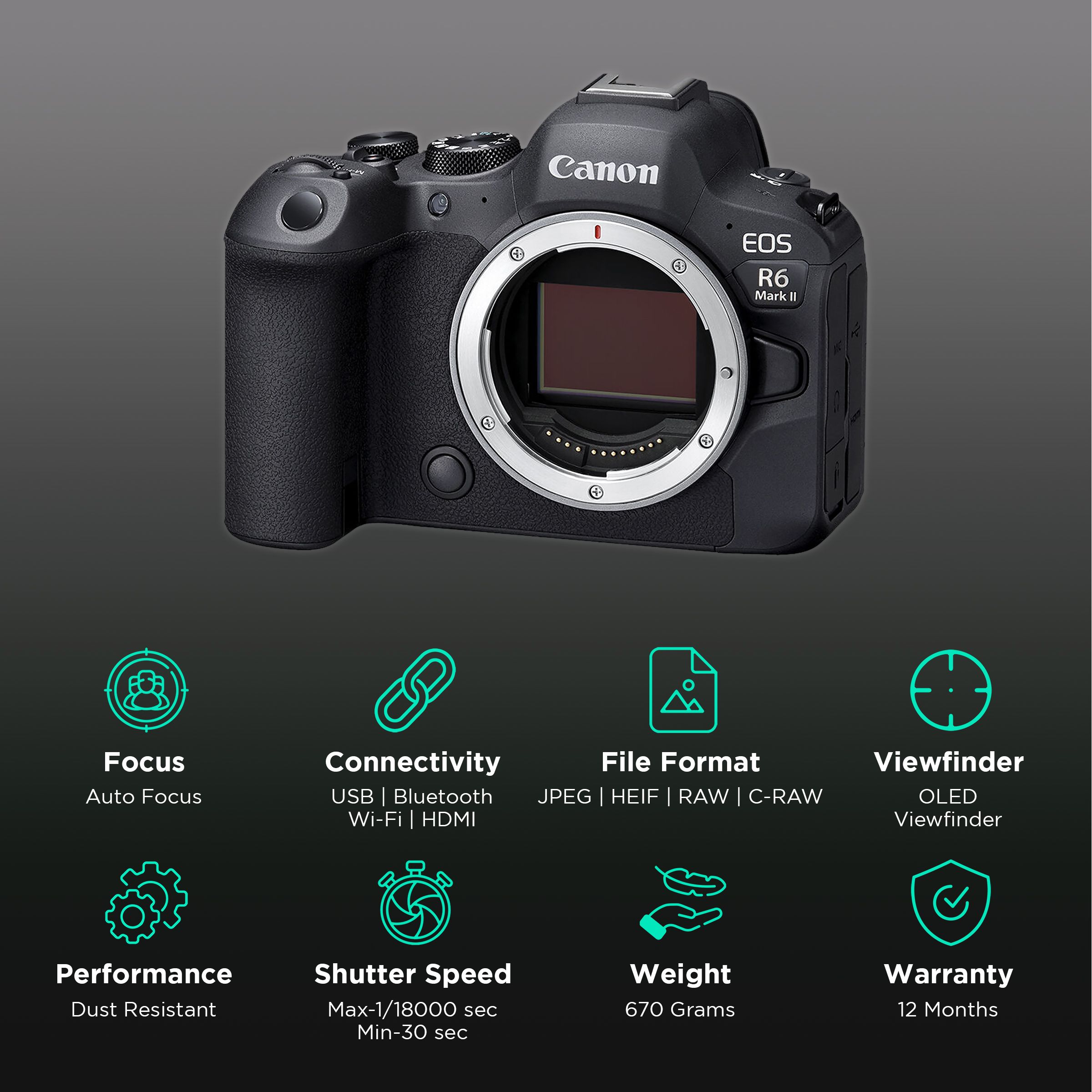 Canon EOS R6 Mark II 24.2MP Full-Frame Camera Body (CMOS Sensor, Auto Subject Detection) Canon EOS R6 Mark II 24.2MP Full-Frame Camera Body (CMOS Sensor, Auto Subject Detection)_3