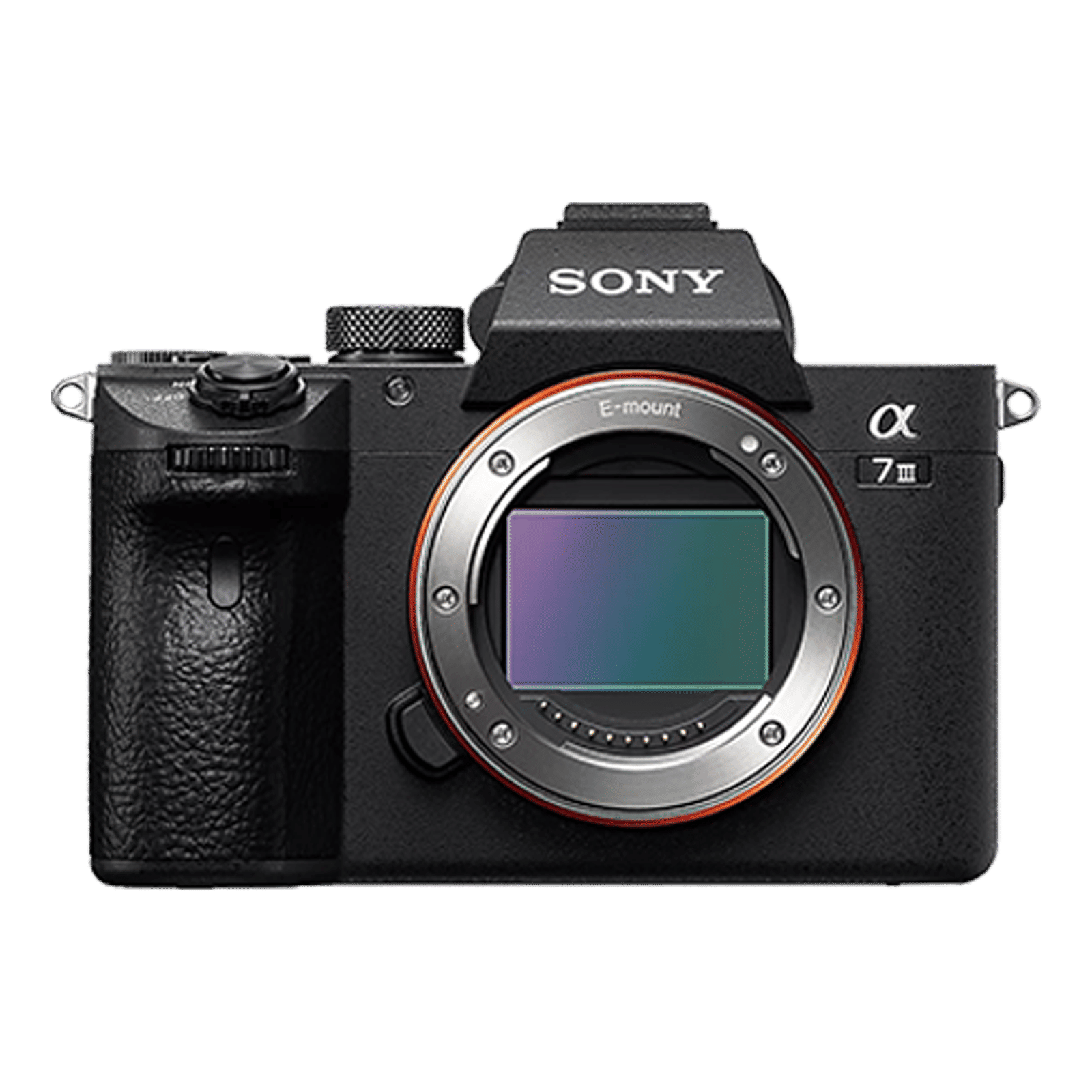 SONY Alpha 7 III 24.2MP Full Frame Camera (28-70 mm Lens, 35.6 x 23.8 mm Sensor, In-body 5-axis Image Stabilisation)_7