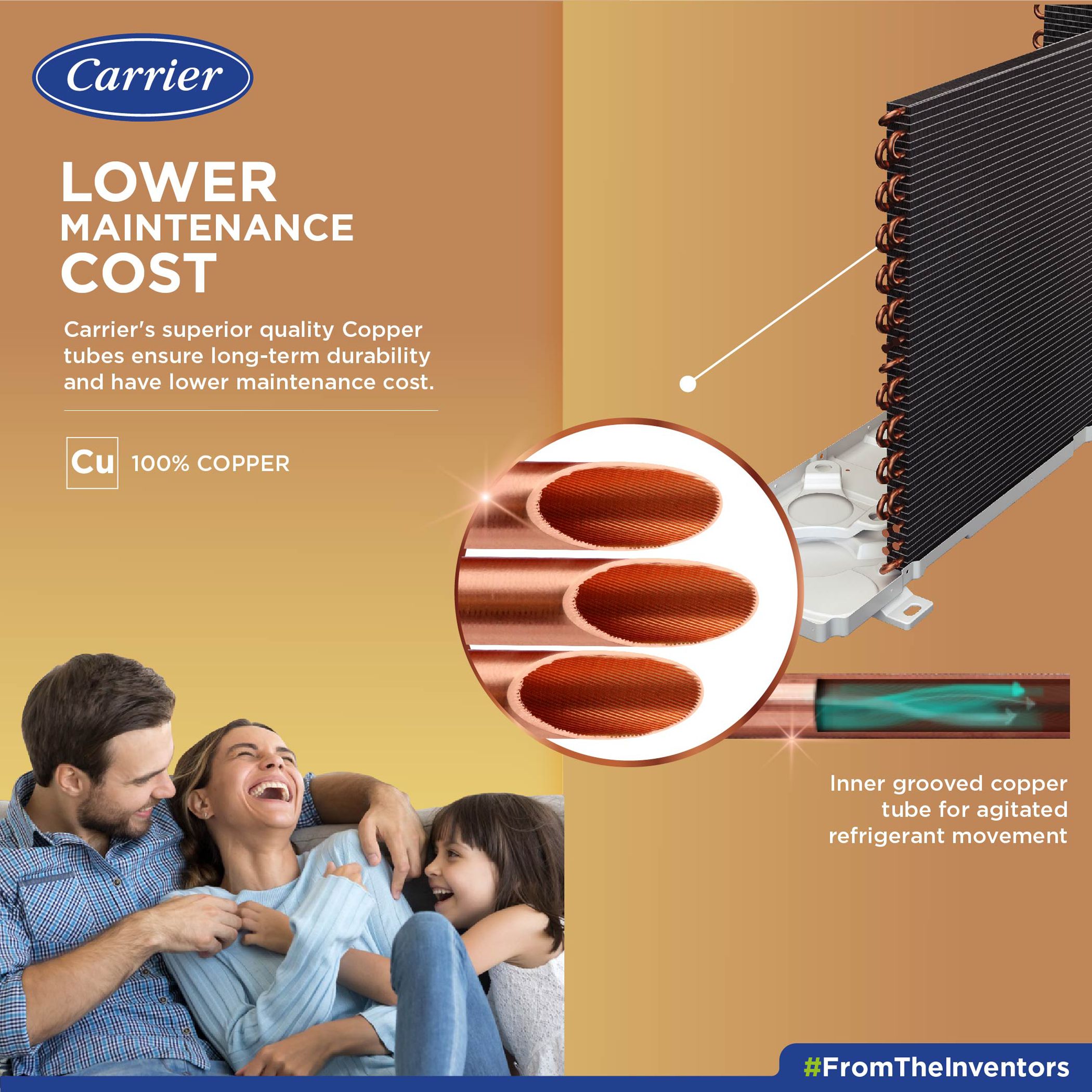 Carrier Ester CXI 6 in 1 Convertible 2 Ton 5 Star Flexicool Inverter Split AC with Auto Clean Function (2022 Model, Copper Condenser, CAI24ES5R30F1)_14