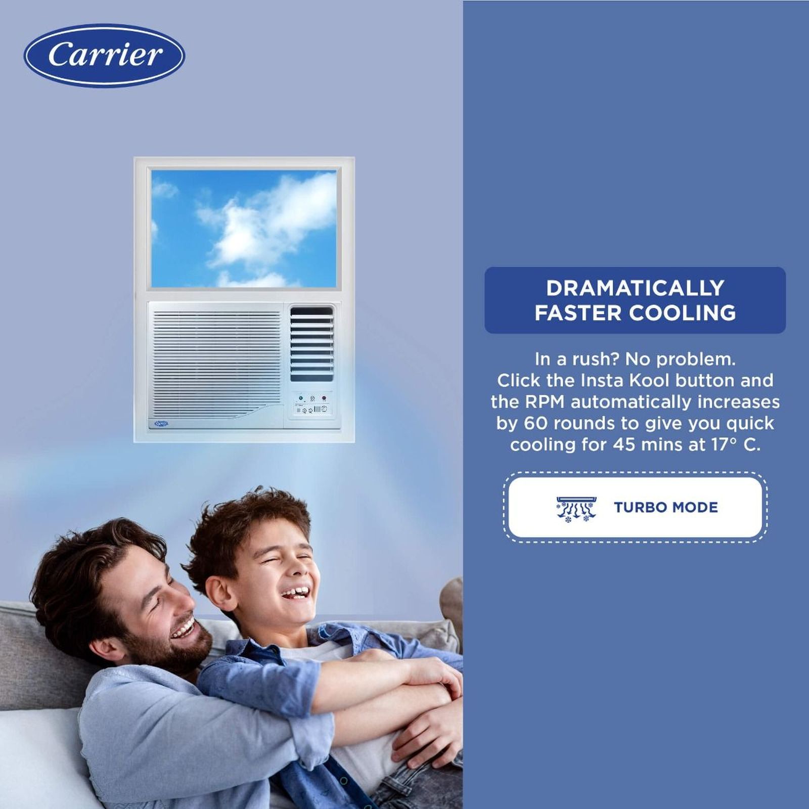 Carrier Estrella Ex 1 Ton 3 Star Fixed Speed Window AC (Copper Condenser, Dust Filter, CAW12EC3R34F0)_13