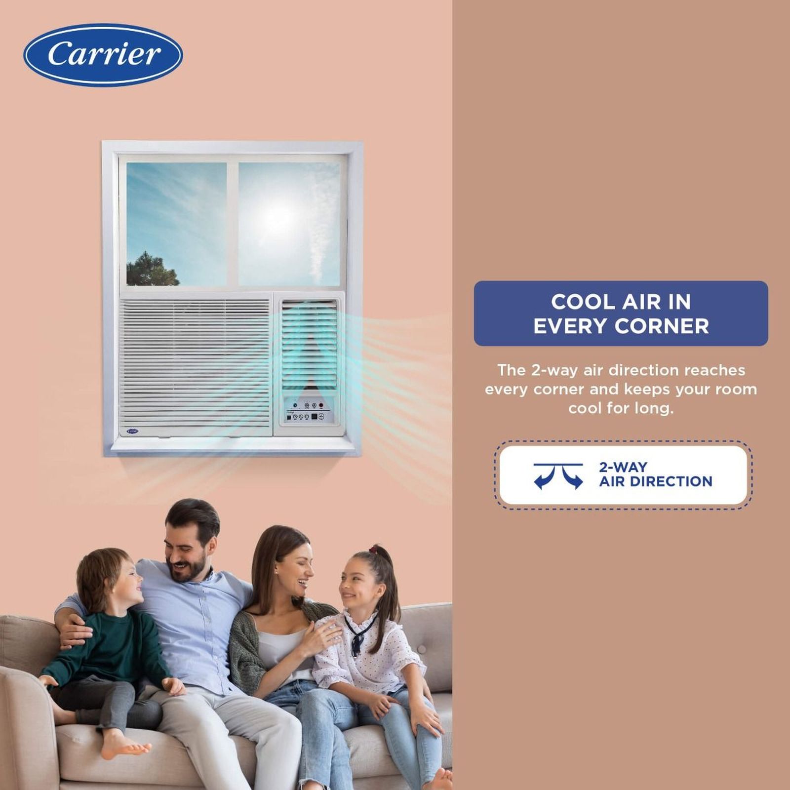 Carrier Estrella Ex 2 Ton 3 Star Fixed Speed Window AC (Copper Condenser, Dust Filter, CAW24EC3R32F0) Carrier Estrella Ex 2 Ton 3 Star Fixed Speed Window AC (Copper Condenser, Dust Filter, CAW24EC3R32F0)_19