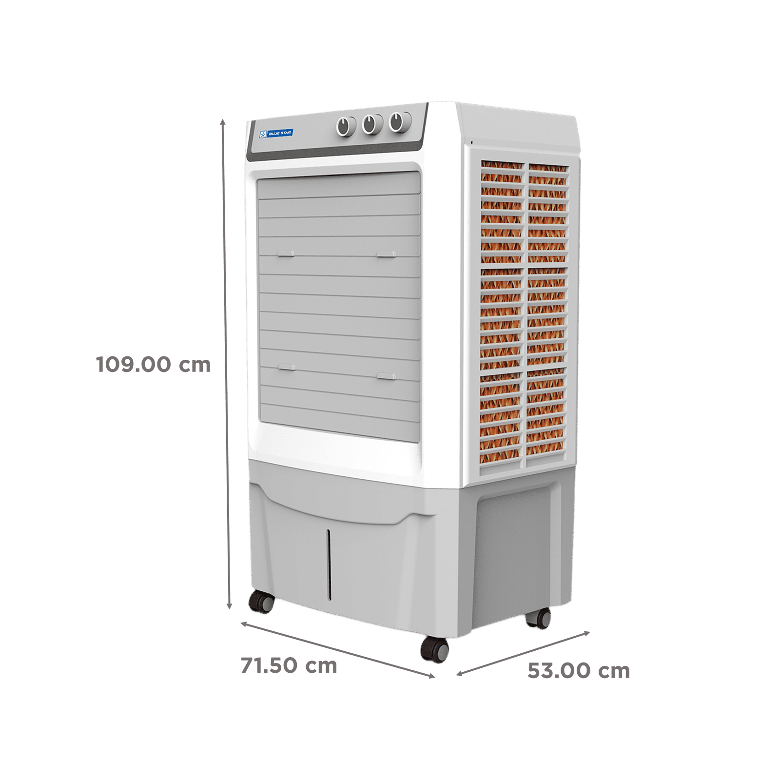 Blue Star Ventus 60 Litres Desert Air Cooler with Anti-Microbial Properties (Thermal Overload Protection, White & Cool Grey)_2