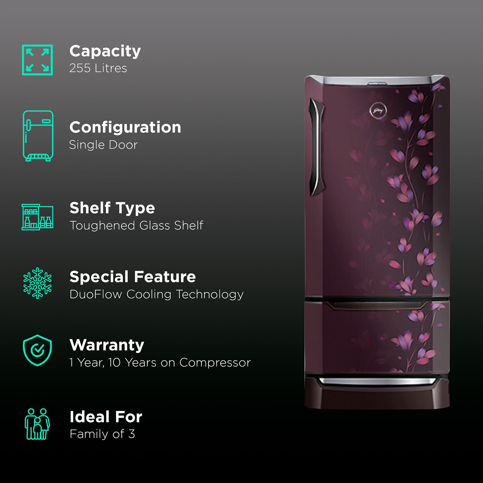 Godrej Edge Duo 255 Litres 3 Star Direct Cool Single Door Refrigerator with Duo Flow Technology (RD EDGE DUO 270C 33 TDI, Jade Wine) Godrej Edge Duo 255 Litres 3 Star Direct Cool Single Door Refrigerator with Duo Flow Technology (RD EDGE DUO 270C 33 TDI, Jade Wine)_2