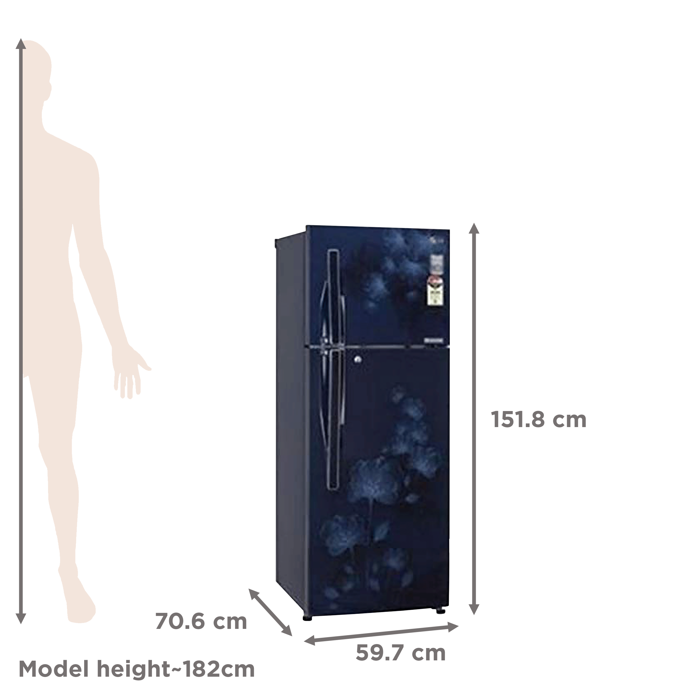 Godrej Eon 260 Litres 2 Star Frost Free Double Door Refrigerator with Uniform Cooling Technology (RT EON 275B 25 HI, Aqua Blue)_2