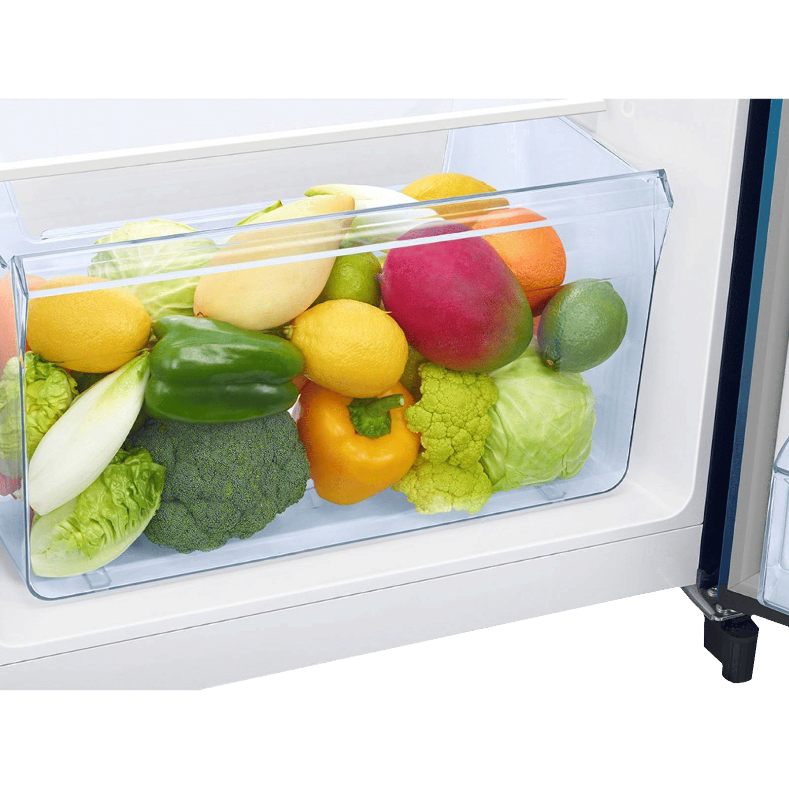 SAMSUNG Digi-Touch Cool 198 Litres 4 Star Direct Cool Single Door Refrigerator with Base Stand Drawer (RR21A2E2X9U/HL, Paradise Bloom Blue) SAMSUNG Digi-Touch Cool 198 Litres 4 Star Direct Cool Single Door Refrigerator with Base Stand Drawer (RR21A2E2X9U/HL, Paradise Bloom Blue)_12