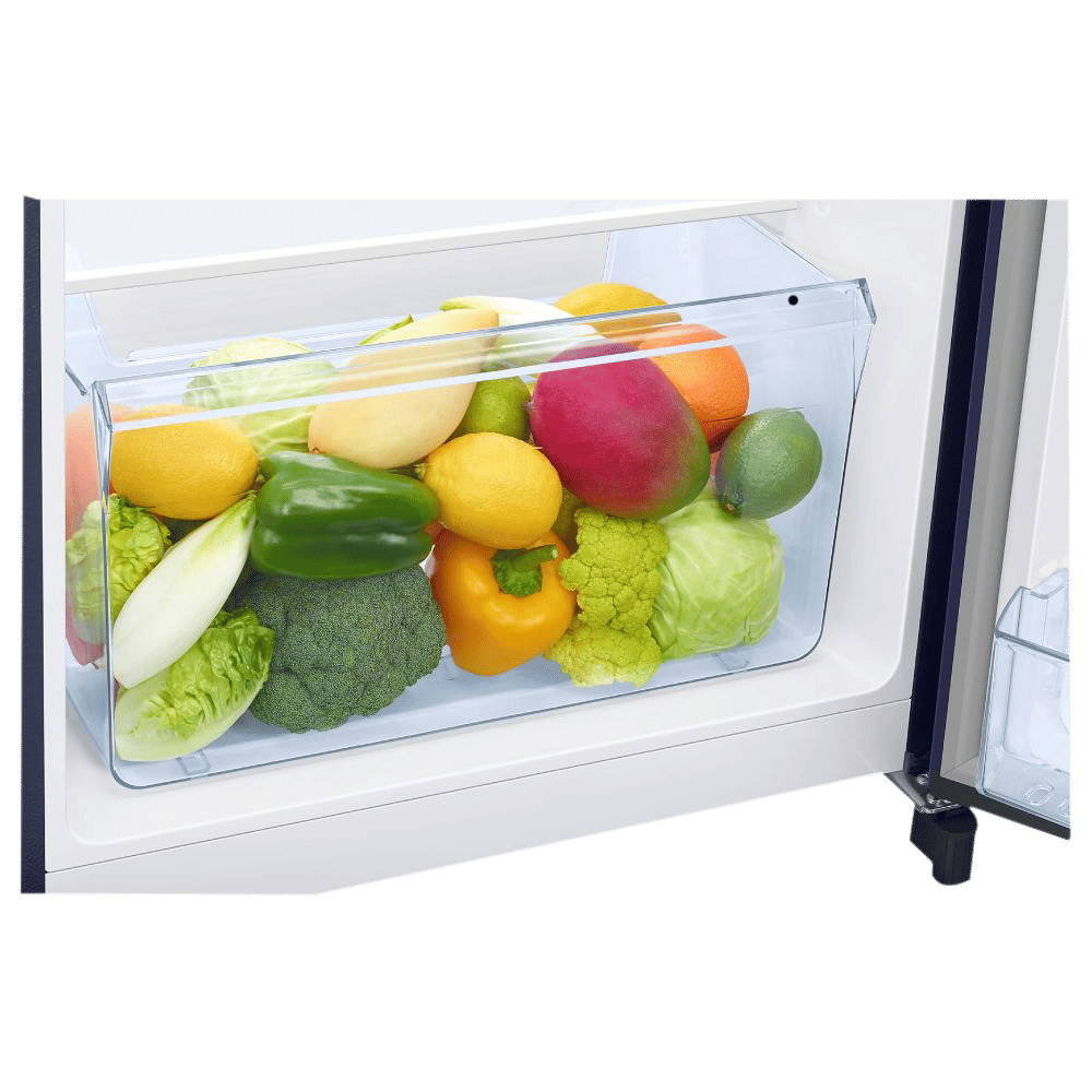 SAMSUNG Digi-Touch Cool 198 Litres 3 Star Direct Cool Single Door Refrigerator with Base Stand Drawer (RR21A2F2YTU/HL, Delight Indigo) SAMSUNG Digi-Touch Cool 198 Litres 3 Star Direct Cool Single Door Refrigerator with Base Stand Drawer (RR21A2F2YTU/HL, Delight Indigo)_9