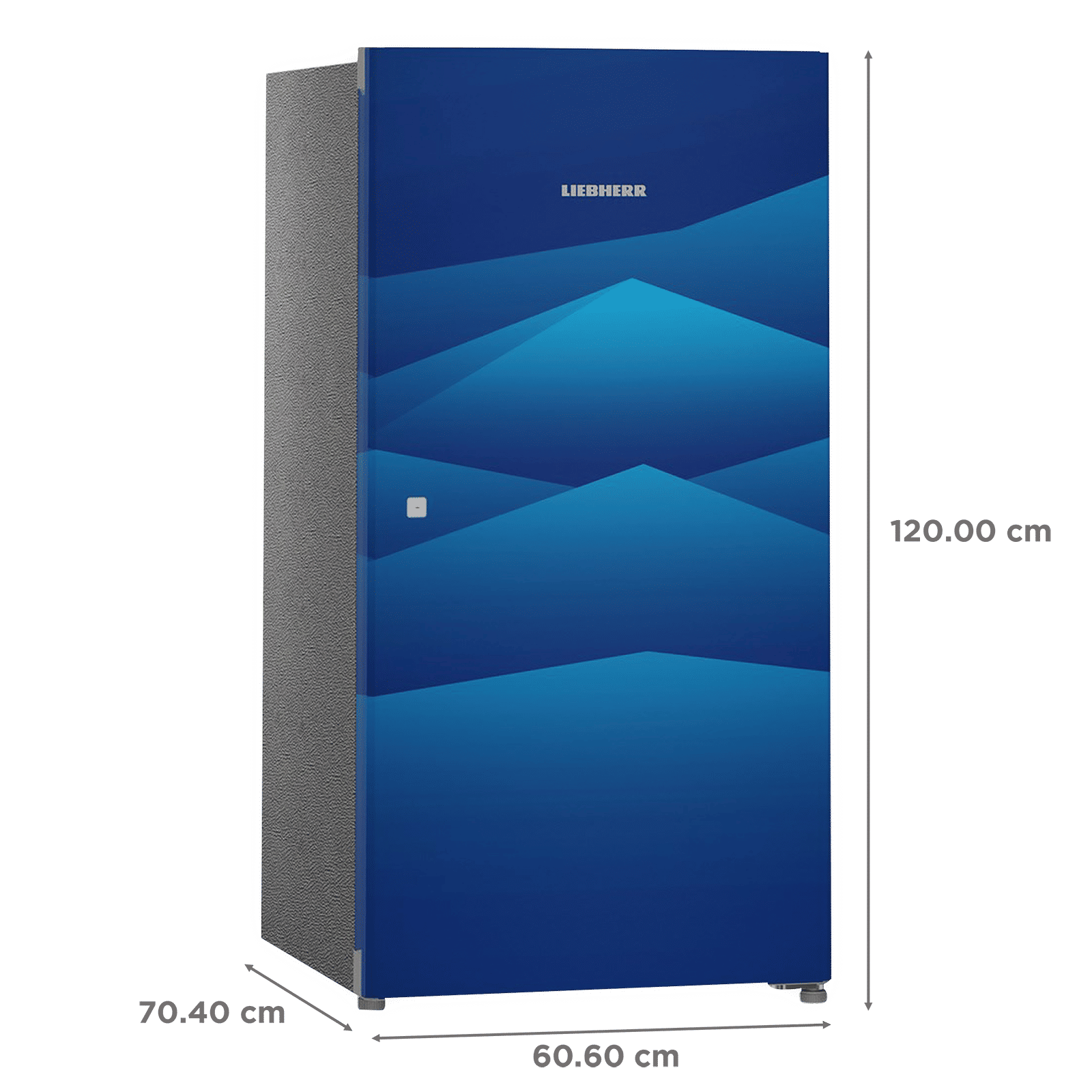 LIEBHERR 220 Litres 4 Star Direct Cool Single Door Refrigerator with Stabilizer Free Operation (DBL 2220, Blue Landscape)_3