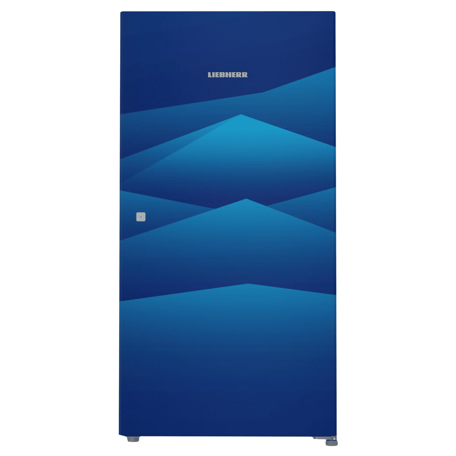LIEBHERR 220 Litres 4 Star Direct Cool Single Door Refrigerator with Stabilizer Free Operation (DBL 2240, Blue Landscape) LIEBHERR 220 Litres 4 Star Direct Cool Single Door Refrigerator with Stabilizer Free Operation (DBL 2240, Blue Landscape)_1