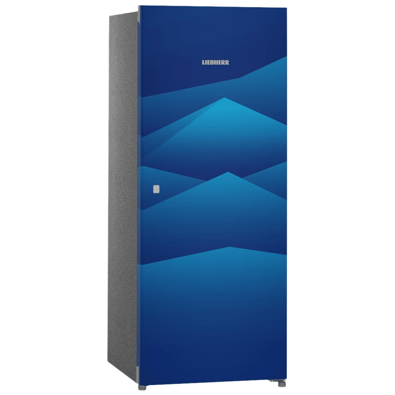 LIEBHERR 220 Litres 4 Star Direct Cool Single Door Refrigerator with Stabilizer Free Operation (DBL 2240, Blue Landscape) LIEBHERR 220 Litres 4 Star Direct Cool Single Door Refrigerator with Stabilizer Free Operation (DBL 2240, Blue Landscape)_4