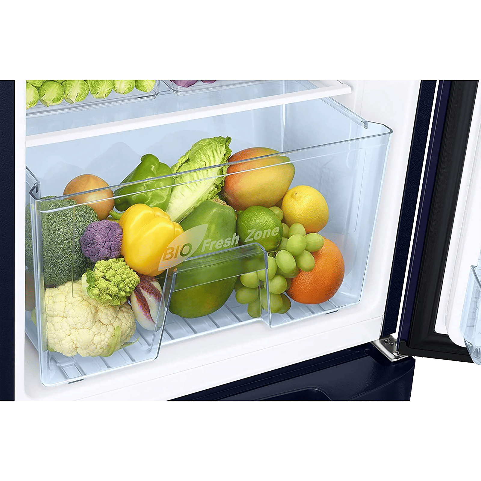 SAMSUNG Stylish Crown 192 Litres 2 Star Direct Cool Single Door Refrigerator with Base Stand Drawer (RR19A2Z2B6U/NL, Mystic Overlay Blue) SAMSUNG Stylish Crown 192 Litres 2 Star Direct Cool Single Door Refrigerator with Base Stand Drawer (RR19A2Z2B6U/NL, Mystic Overlay Blue)_10
