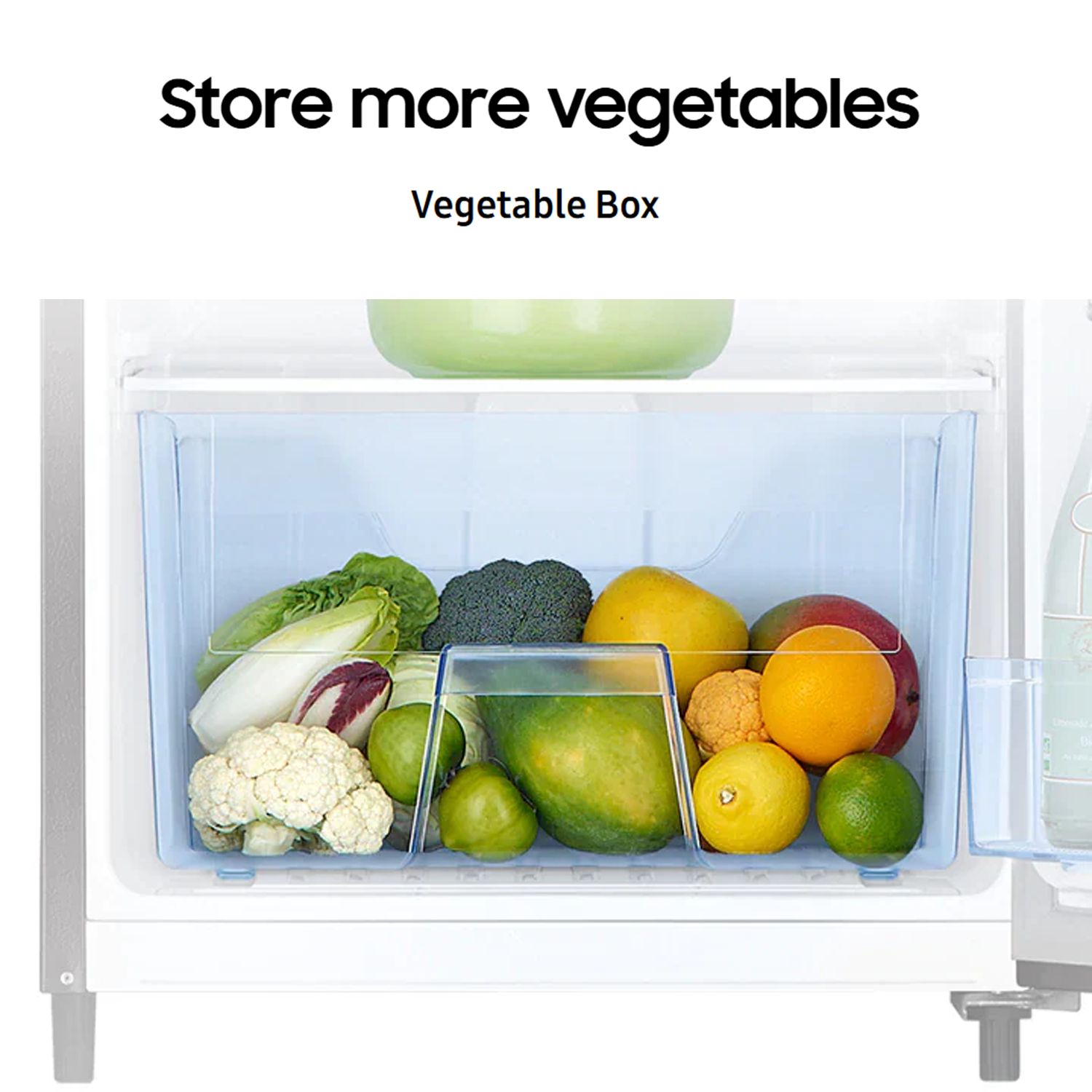 SAMSUNG Stylish Grande 183 Litres3 Star Direct Cool Single Door Refrigerator with Anti Bacterial Gasket (RR20C2Y23S8/HL, Elegant Inox)_16