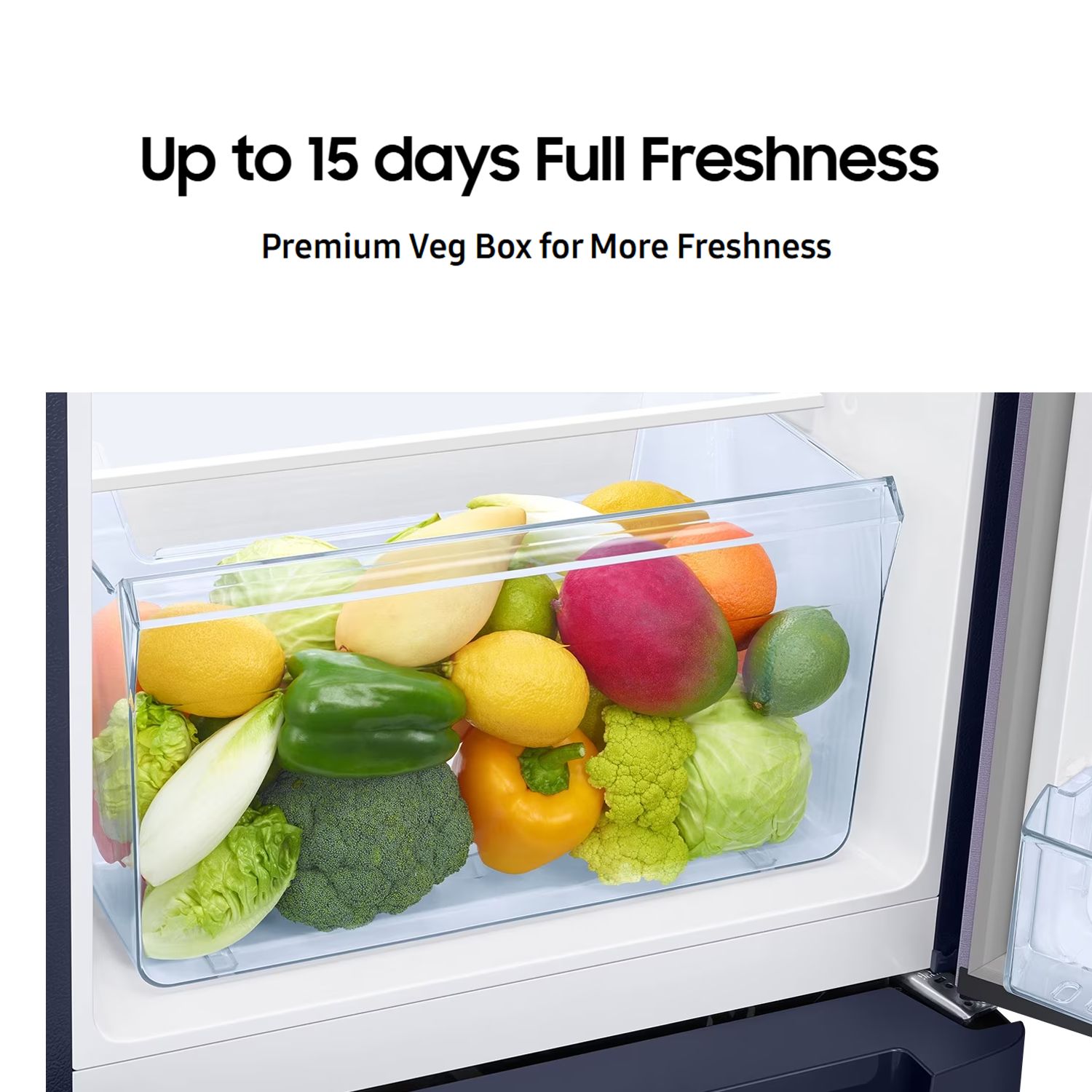 SAMSUNG Stylish Grande 183 Litres3 Star Direct Cool Single Door Refrigerator with Anti Bacterial Gasket (RR20C2Y23S8/HL, Elegant Inox)_19