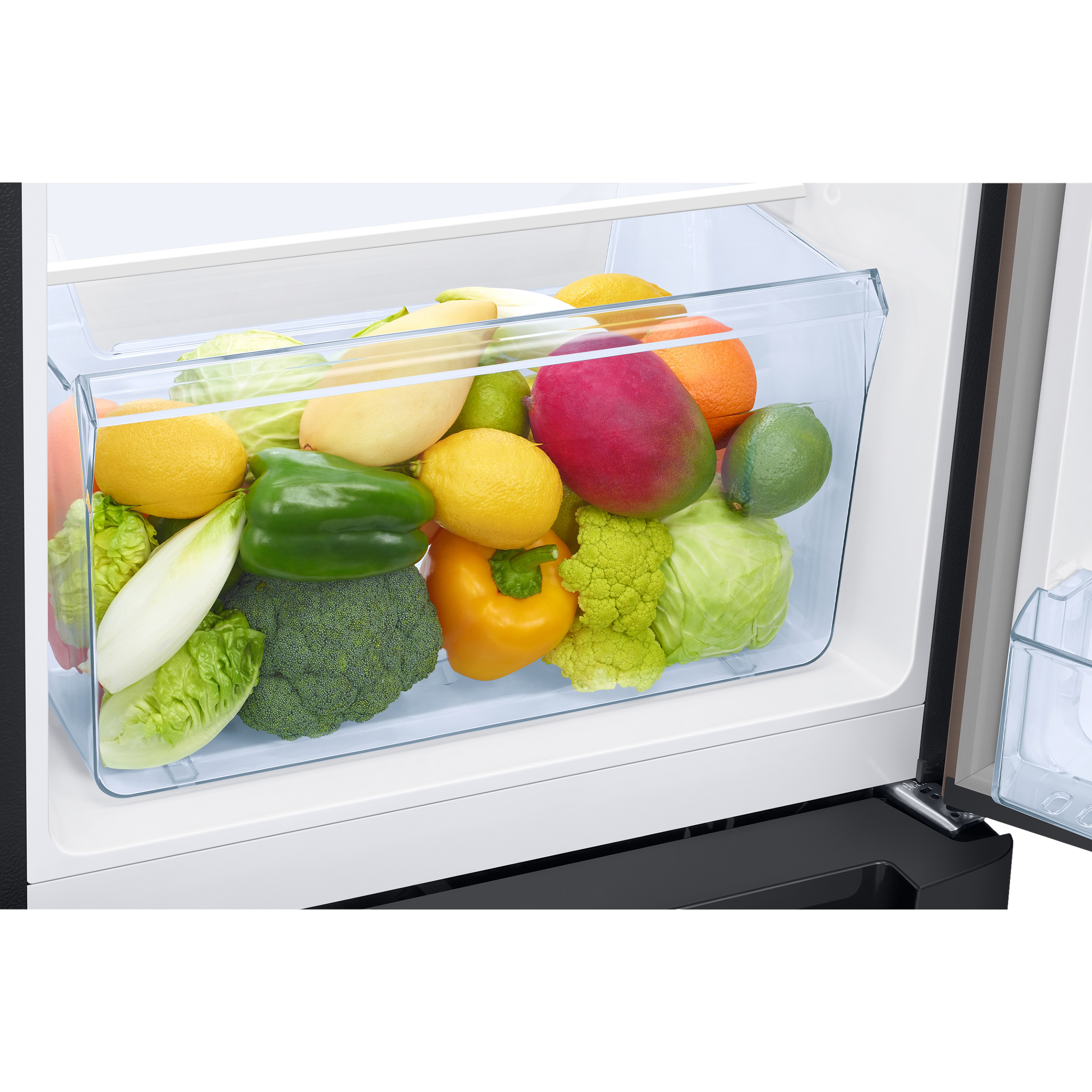 SAMSUNG 189 Litres 4 Star Direct Cool Single Door Refrigerator (RR21C2F24DX/HL, Luxe Brown) SAMSUNG 189 Litres 4 Star Direct Cool Single Door Refrigerator (RR21C2F24DX/HL, Luxe Brown)_10