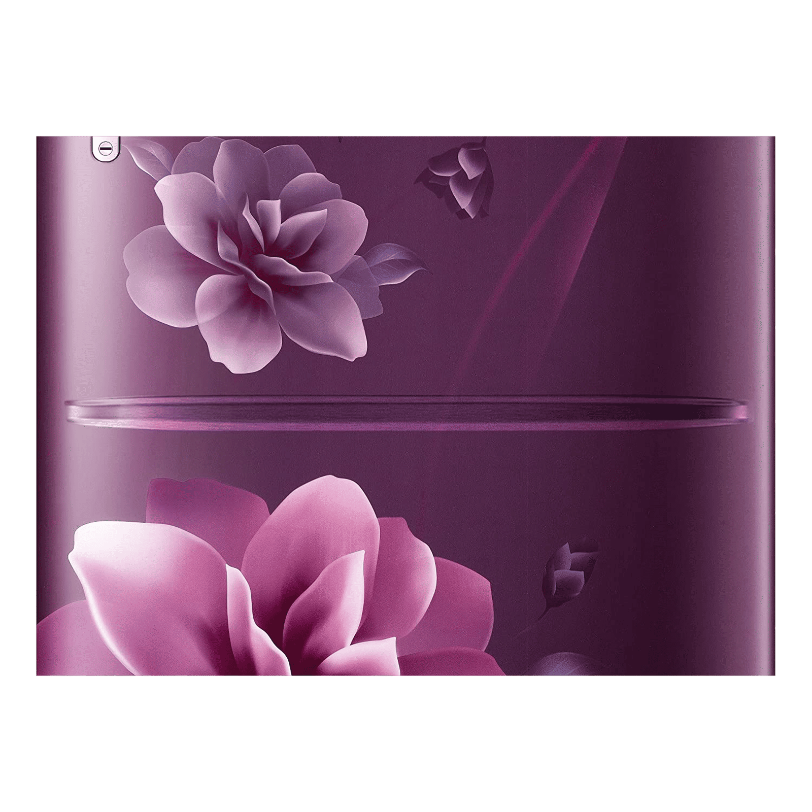 SAMSUNG 223 Litres 3 Star Direct Cool Single Door Refrigerator with Anti-Bacterial Gasket (RR24C2Y23CR/NL, Camellia Purple) SAMSUNG 223 Litres 3 Star Direct Cool Single Door Refrigerator with Anti-Bacterial Gasket (RR24C2Y23CR/NL, Camellia Purple)_14