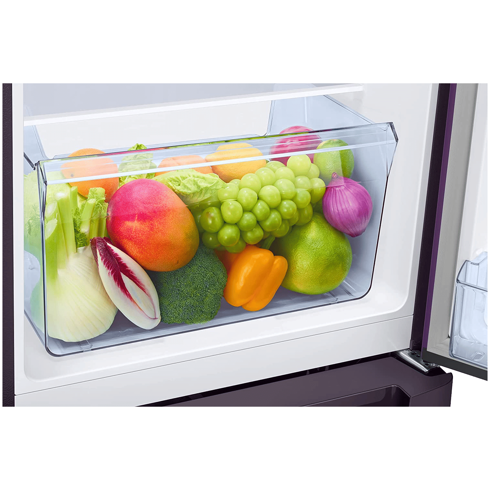 SAMSUNG 189 Litres 5 Star Direct Cool Single Door Refrigerator with Antibacterial Gasket (RR21C2H25CR/HL, Camellia Purple)_10