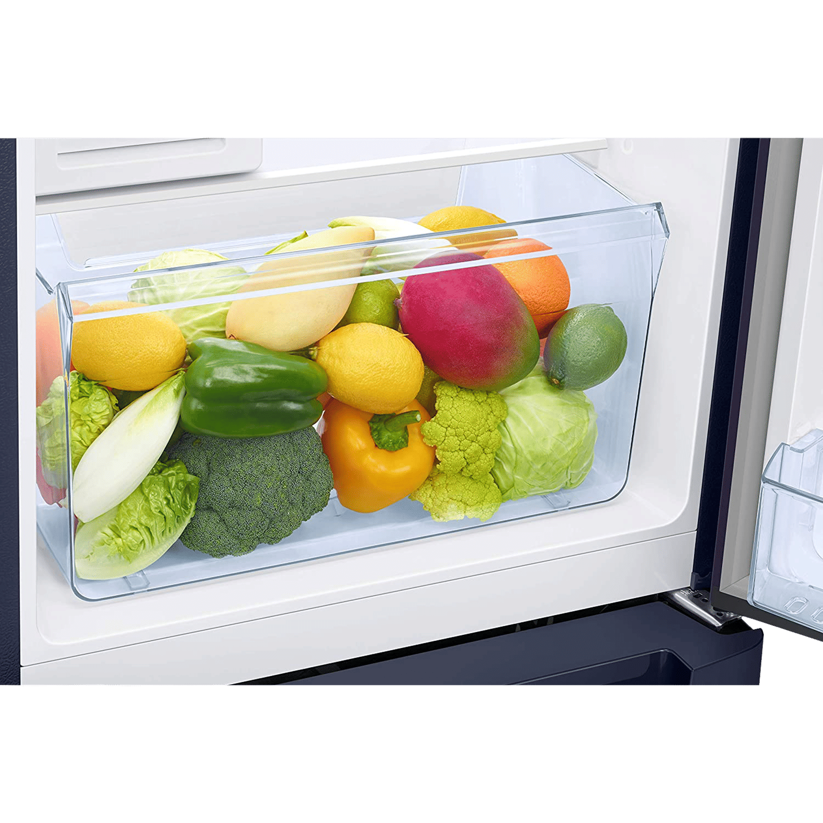 SAMSUNG 189 Litres 4 Star Direct Cool Single Door Refrigerator with Digi-Touch Cool (RR21C2F24UZ/HL, Midnight Blossom Blue)_12