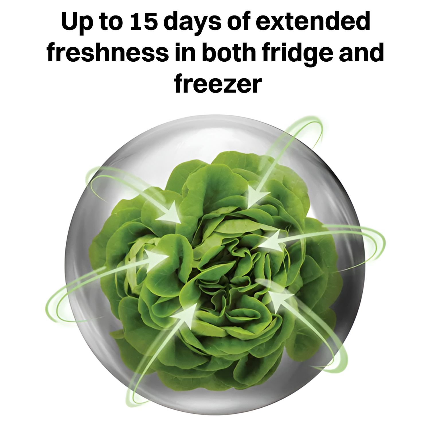 Whirlpool Intellifresh Pro 308 Litres 2 Star Frost Free Double Door Convertible Refrigerator with 6th Sense Technology (Grey) Whirlpool Intellifresh Pro 308 Litres 2 Star Frost Free Double Door Convertible Refrigerator with 6th Sense Technology (Grey)_11