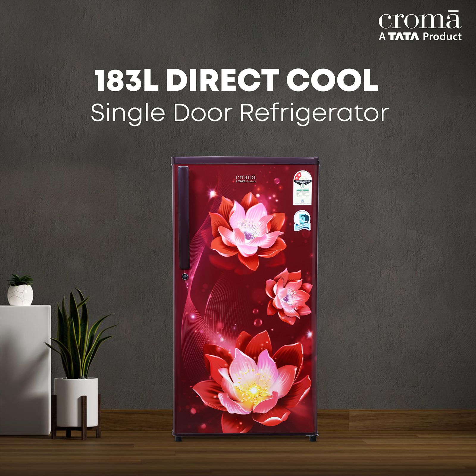 Croma 183 Litres 2 Star Direct Cool Single Door Refrigerator with Anti-Fungal Door Gasket ( Rosalind Wine)_4