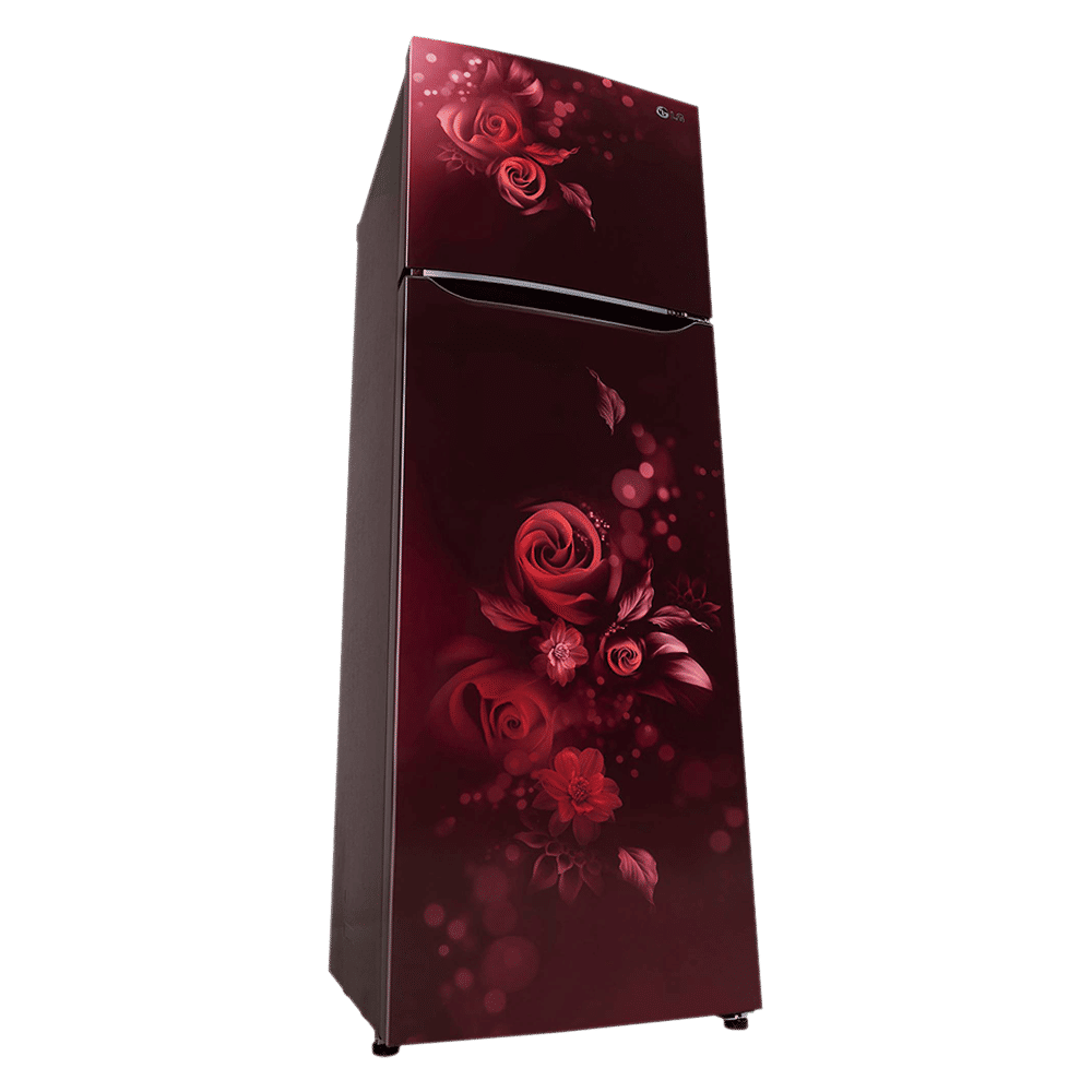 LG 242 Litres 2 Star Frost Free Double Door Refrigerator with Anti Bacterial Gasket (GLN292BSEY, Scarlet Euphoria) LG 242 Litres 2 Star Frost Free Double Door Refrigerator with Anti Bacterial Gasket (GLN292BSEY, Scarlet Euphoria)_16