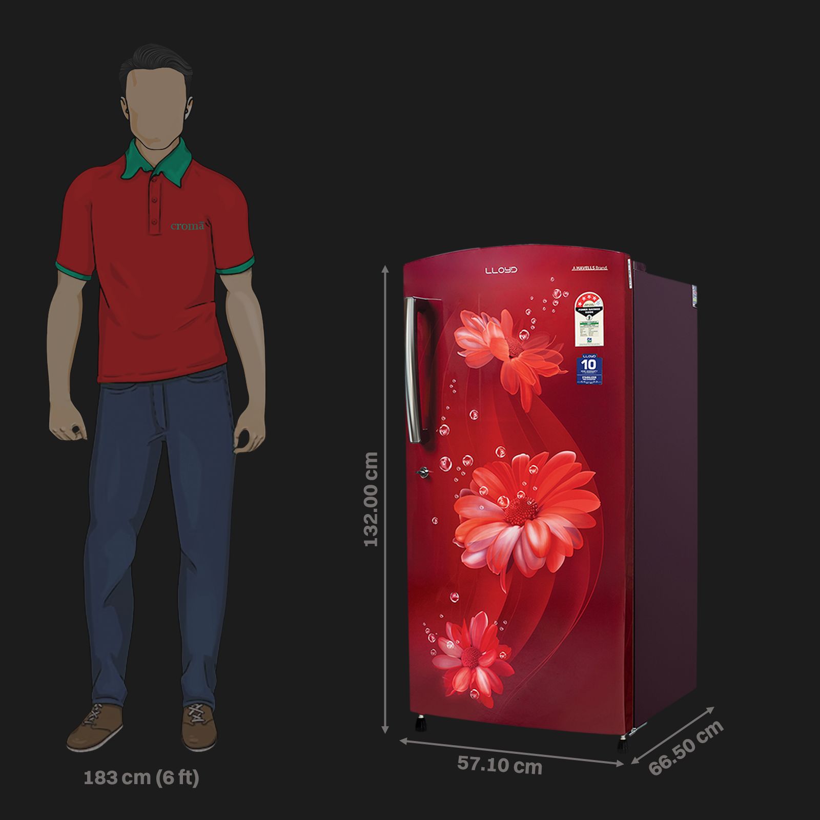 LLOYD 216 Litres 4 Star Direct Cool Single Door Refrigerator with Stabilizer Free Operation (GLDF244SDWT2LC, Daisy Wine) LLOYD 216 Litres 4 Star Direct Cool Single Door Refrigerator with Stabilizer Free Operation (GLDF244SDWT2LC, Daisy Wine)_3
