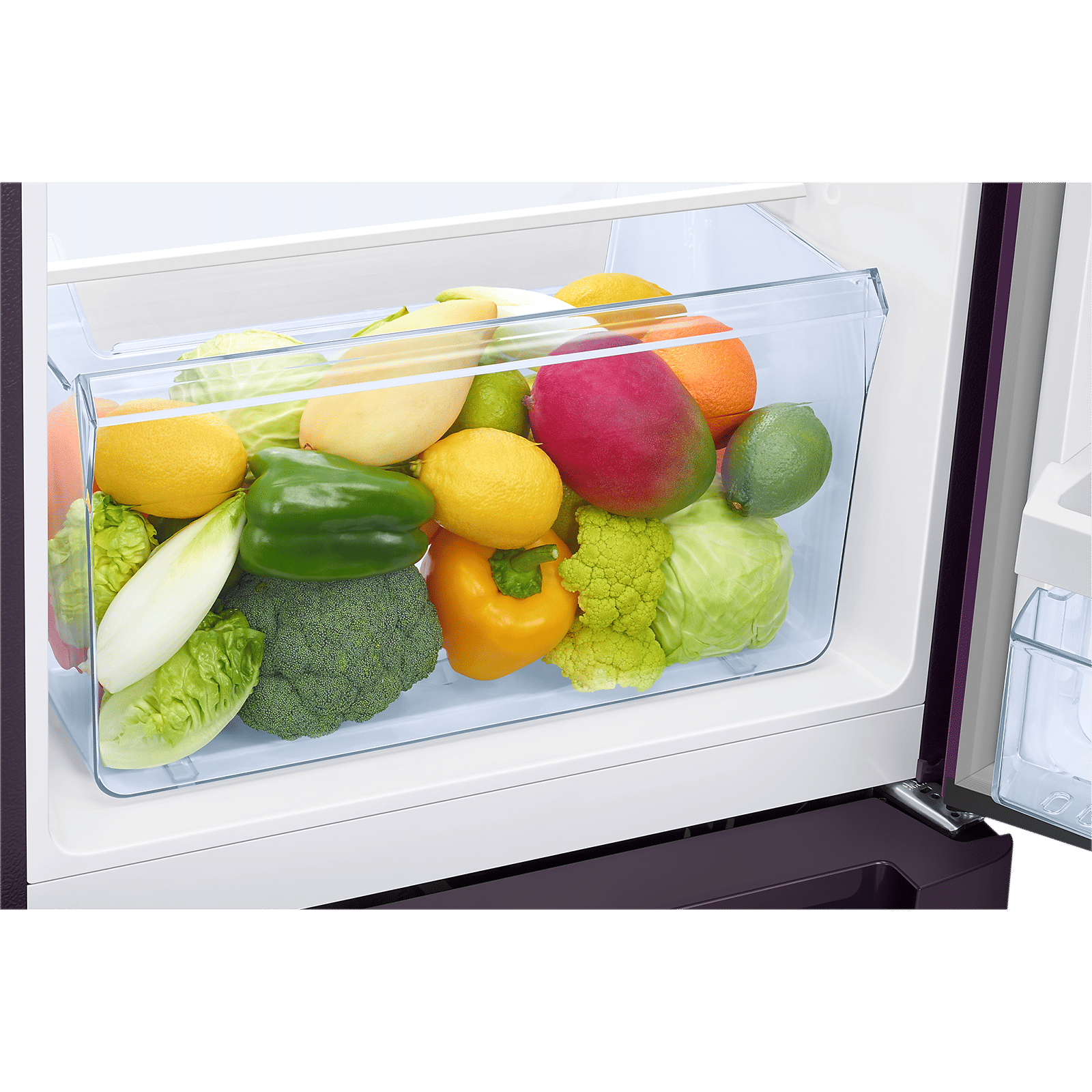 SAMSUNG Digi-Touch Cool 215 Litres 4 Star Direct Cool Single Door Refrigerator with Anti Bacterial Gasket (RR23D2F349R/HL, Paradise Bloom Purple) SAMSUNG Digi-Touch Cool 215 Litres 4 Star Direct Cool Single Door Refrigerator with Anti Bacterial Gasket (RR23D2F349R/HL, Paradise Bloom Purple)_13