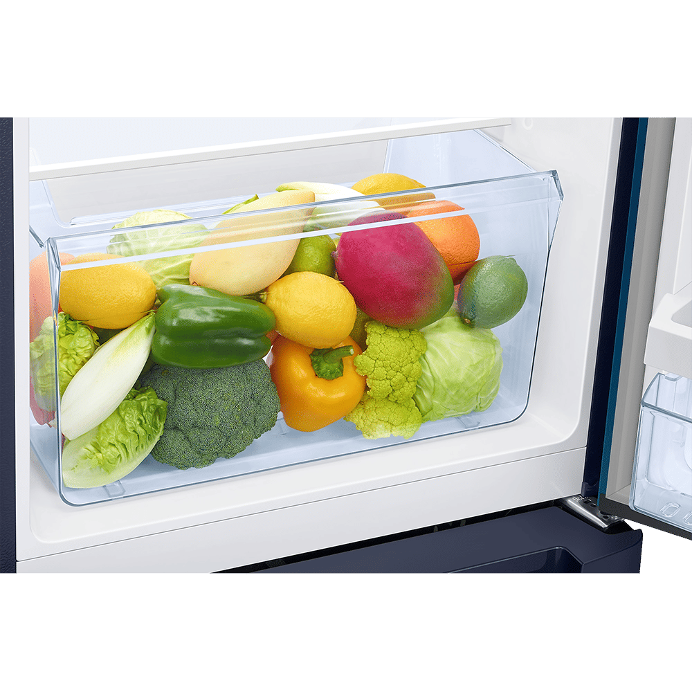 SAMSUNG Horizontal Curve 215 Litres 5 Star Direct Cool Single Door Refrigerator with Anti Bacterial Gasket (RR23D2H359U/HL, Paradise Bloom Blue)_9
