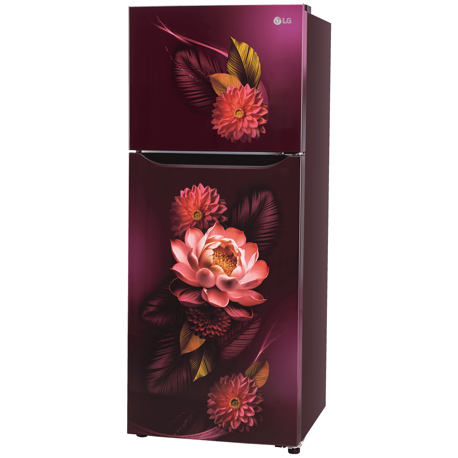 LG 240 Litres 2 Star Frost Free Double Door Convertible Refrigerator with MOIST N FRESH Technology (GL-S292SRWY, Red Waterlily) LG 240 Litres 2 Star Frost Free Double Door Convertible Refrigerator with MOIST N FRESH Technology (GL-S292SRWY, Red Waterlily)_4