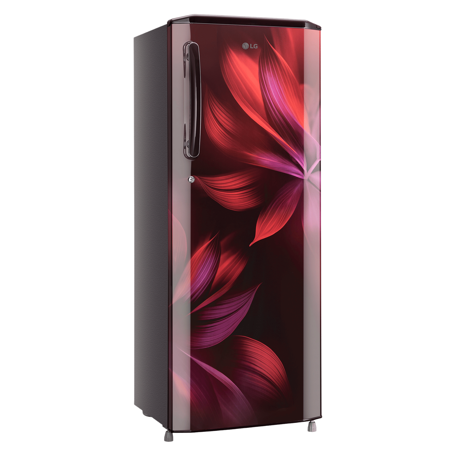 LG 281 Series 261 Litres 3 Star Direct Cool Single Door Refrigerator with Auto Smart Connect (GL-B281BSAX, Scarlet Aurora)_9