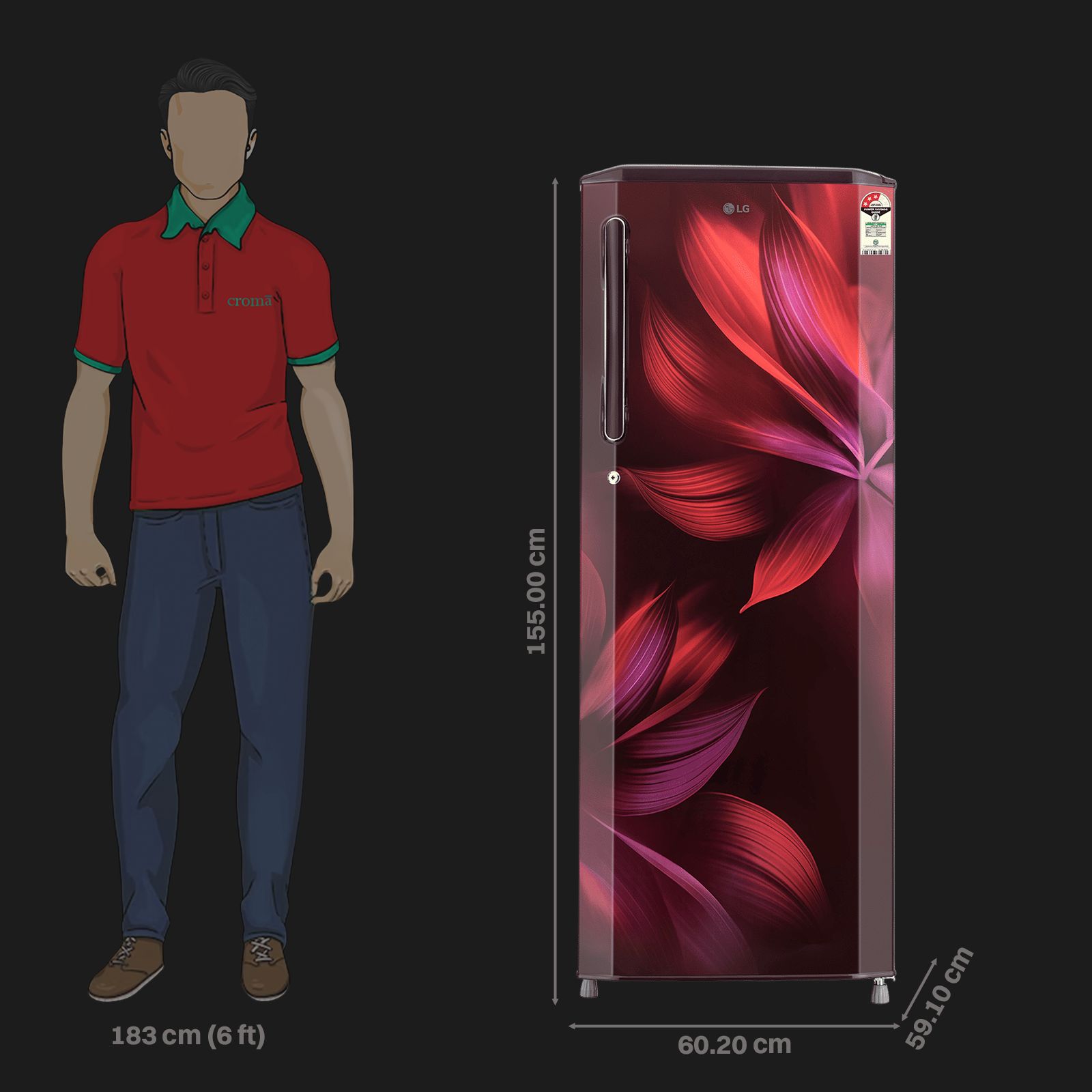 LG 281 Series 261 Litres 3 Star Direct Cool Single Door Refrigerator with Auto Smart Connect (GL-B281BSAX, Scarlet Aurora)_2