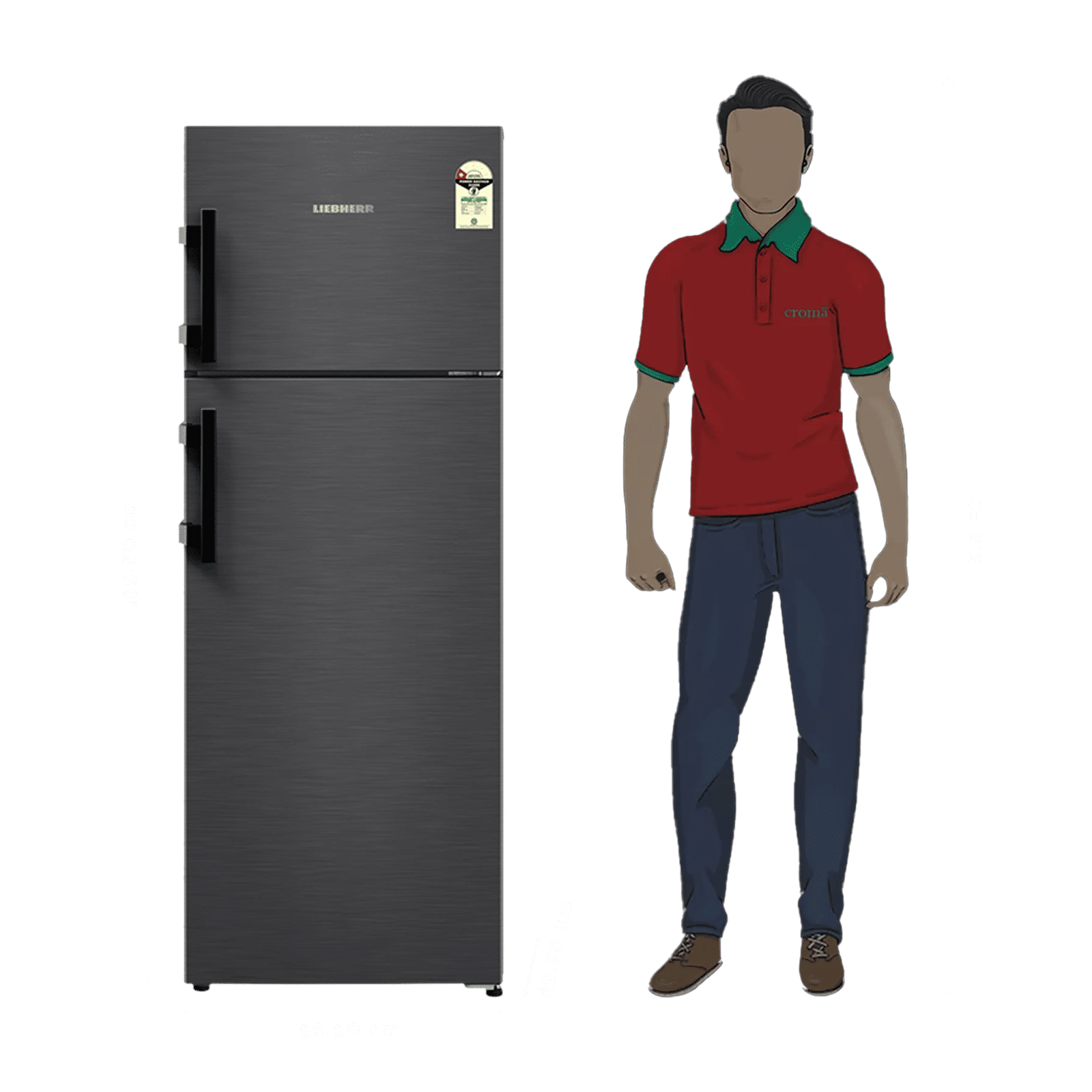 LIEBHERR Cluster 1 269 Litres 1 Star Frost Free Double Door Refrigerator with Central Power Cooling Technology (TCLbsA 2711, Black Steel) (2026 Model)_2