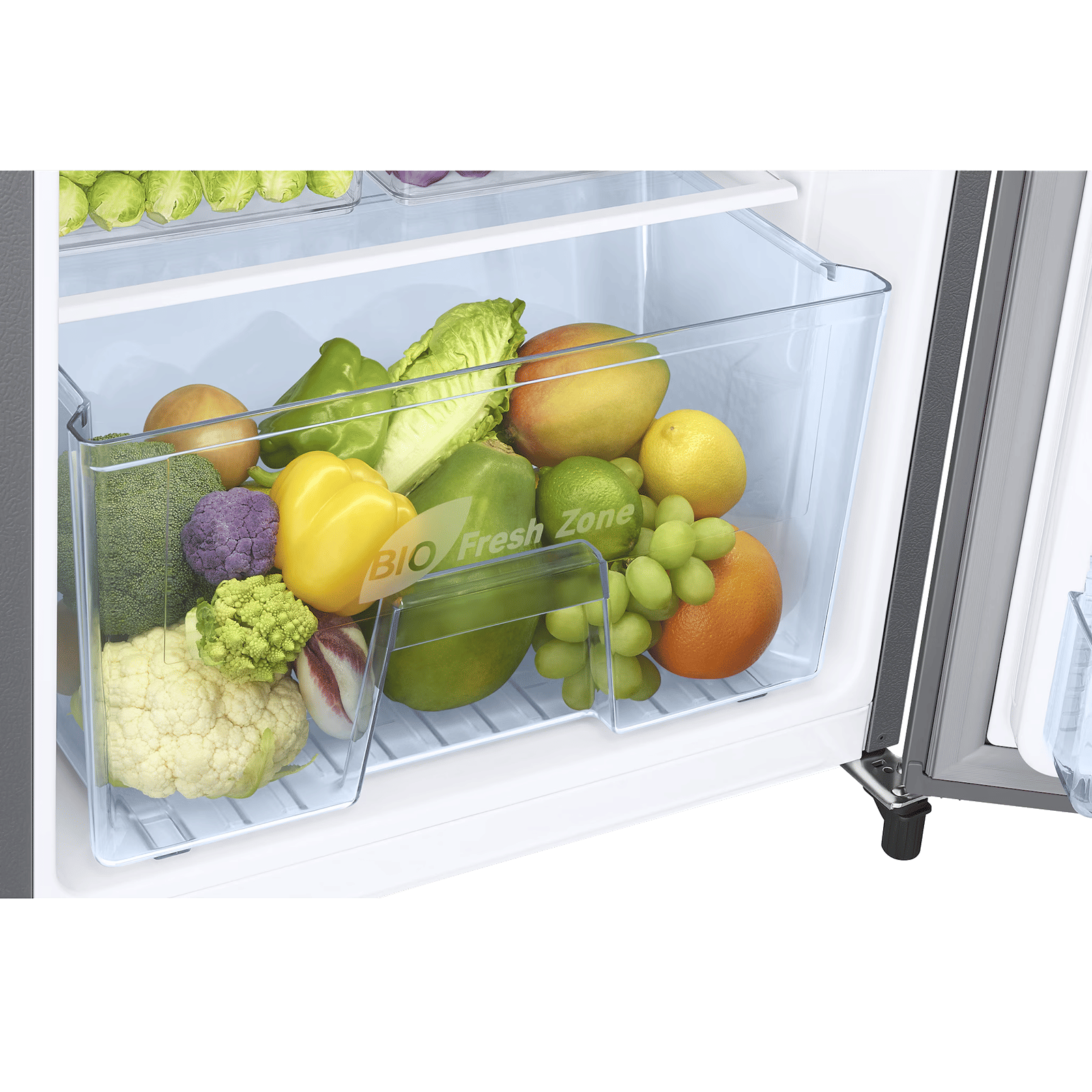 Samsung RR20 183 Litres 3 Star Direct Cool Single Door Refrigerator with Anti Bacterial Gasket (RR20H2723S8/NL, Elegant Inox) (2026 Model)_8
