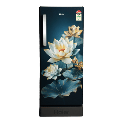 Haier 190 Litres 5 Star Direct Cool Single Door Refrigerator with Antibacterial Gasket (HRD-2115PGCA-N, Green Camellia)