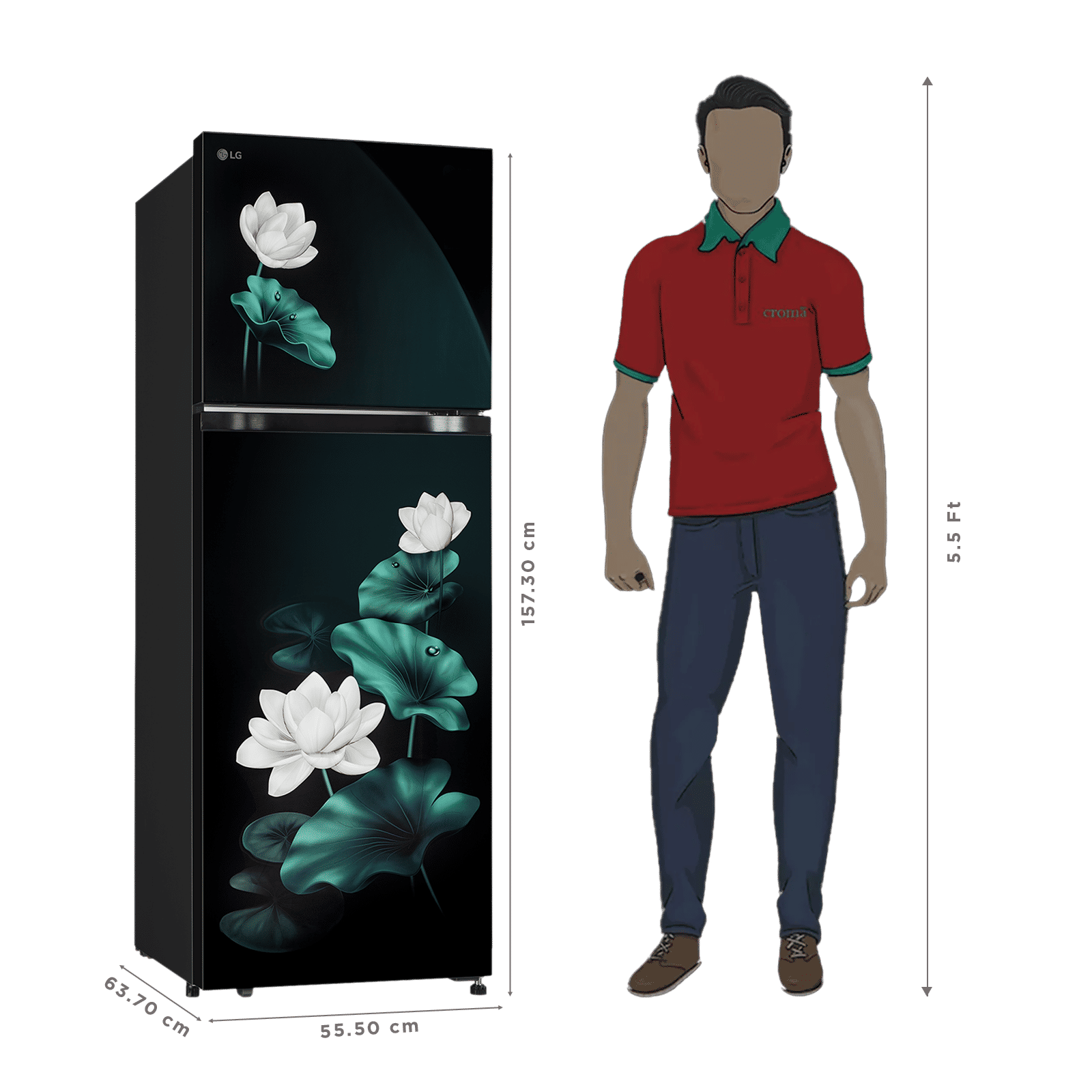 LG 251 Litres 2 Star Frost Free Double Door Convertible Refrigerator with Inverter Compressor (GLT2526XWEL, Emerald Lotus) (2026 Model) LG 251 Litres 2 Star Frost Free Double Door Convertible Refrigerator with Inverter Compressor (GLT2526XWEL, Emerald Lotus) (2026 Model)_3