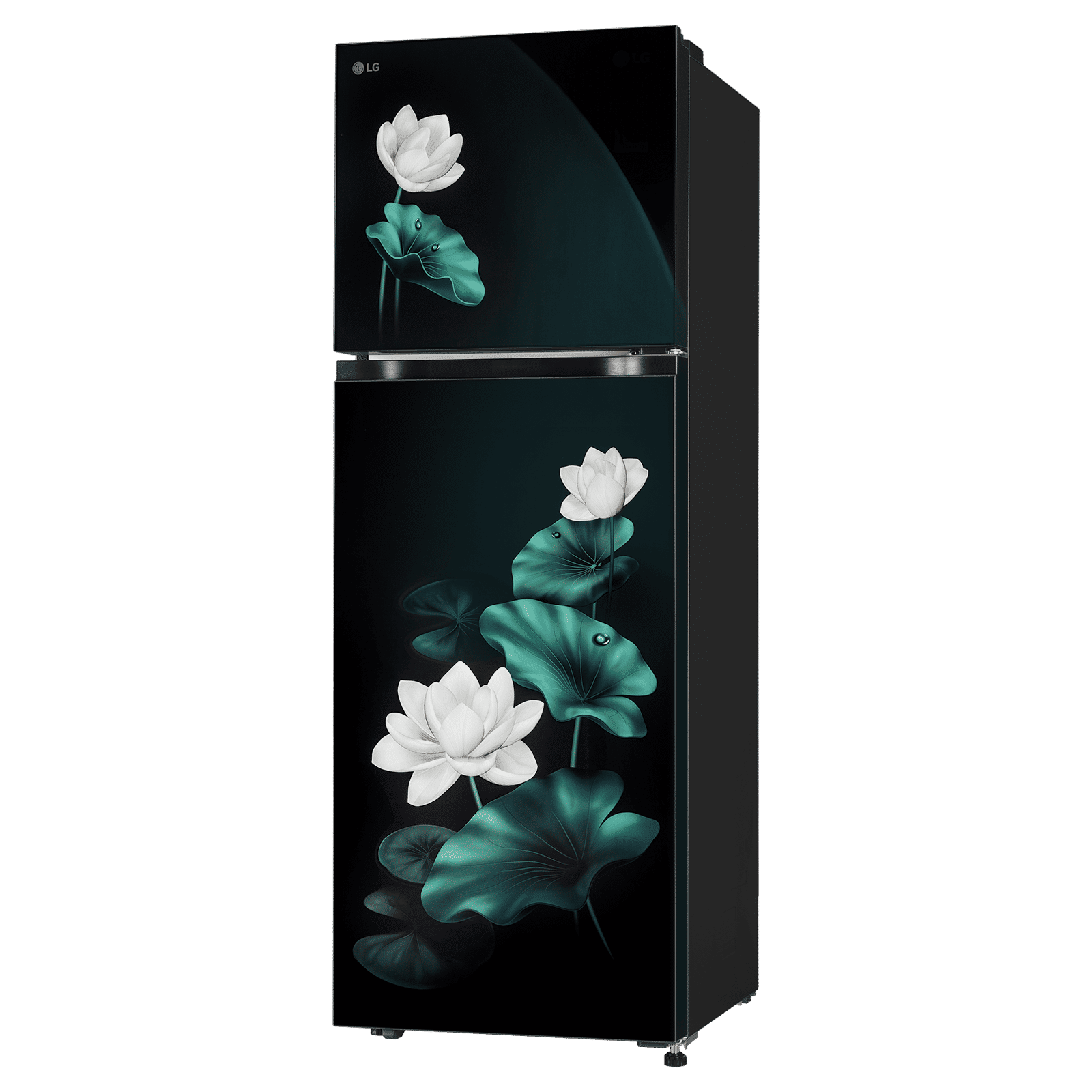 LG 251 Litres 2 Star Frost Free Double Door Convertible Refrigerator with Inverter Compressor (GLT2526XWEL, Emerald Lotus) (2026 Model) LG 251 Litres 2 Star Frost Free Double Door Convertible Refrigerator with Inverter Compressor (GLT2526XWEL, Emerald Lotus) (2026 Model)_6